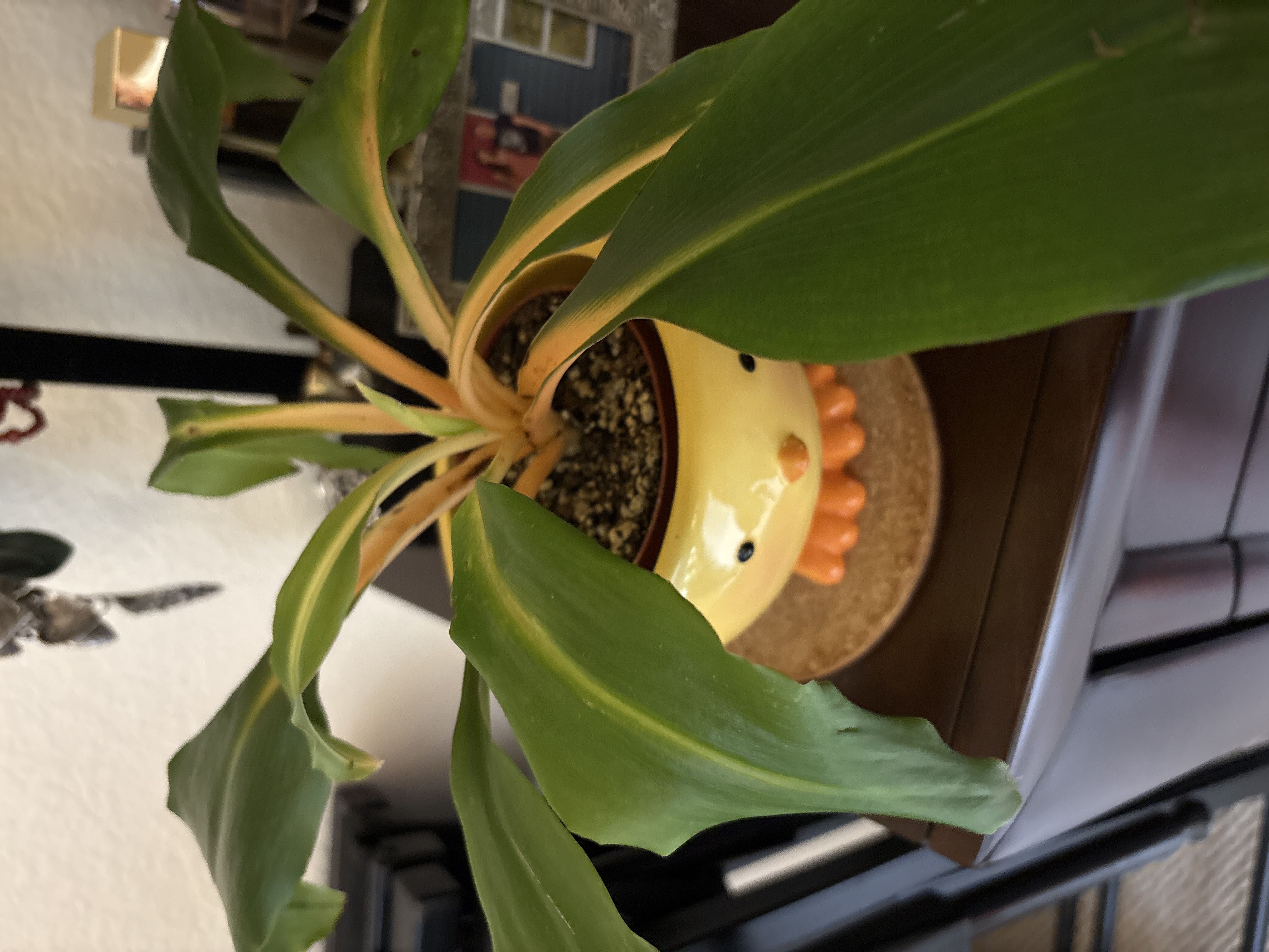 Photo from the post