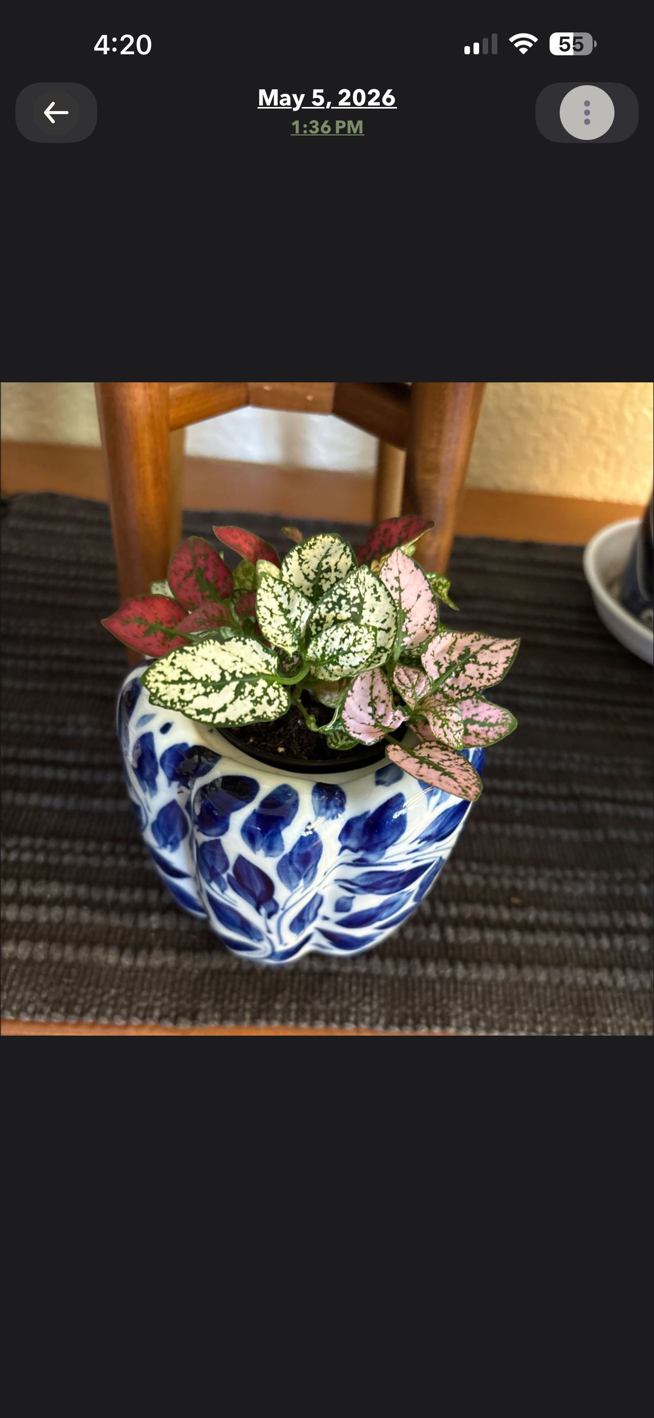 Photo from the post