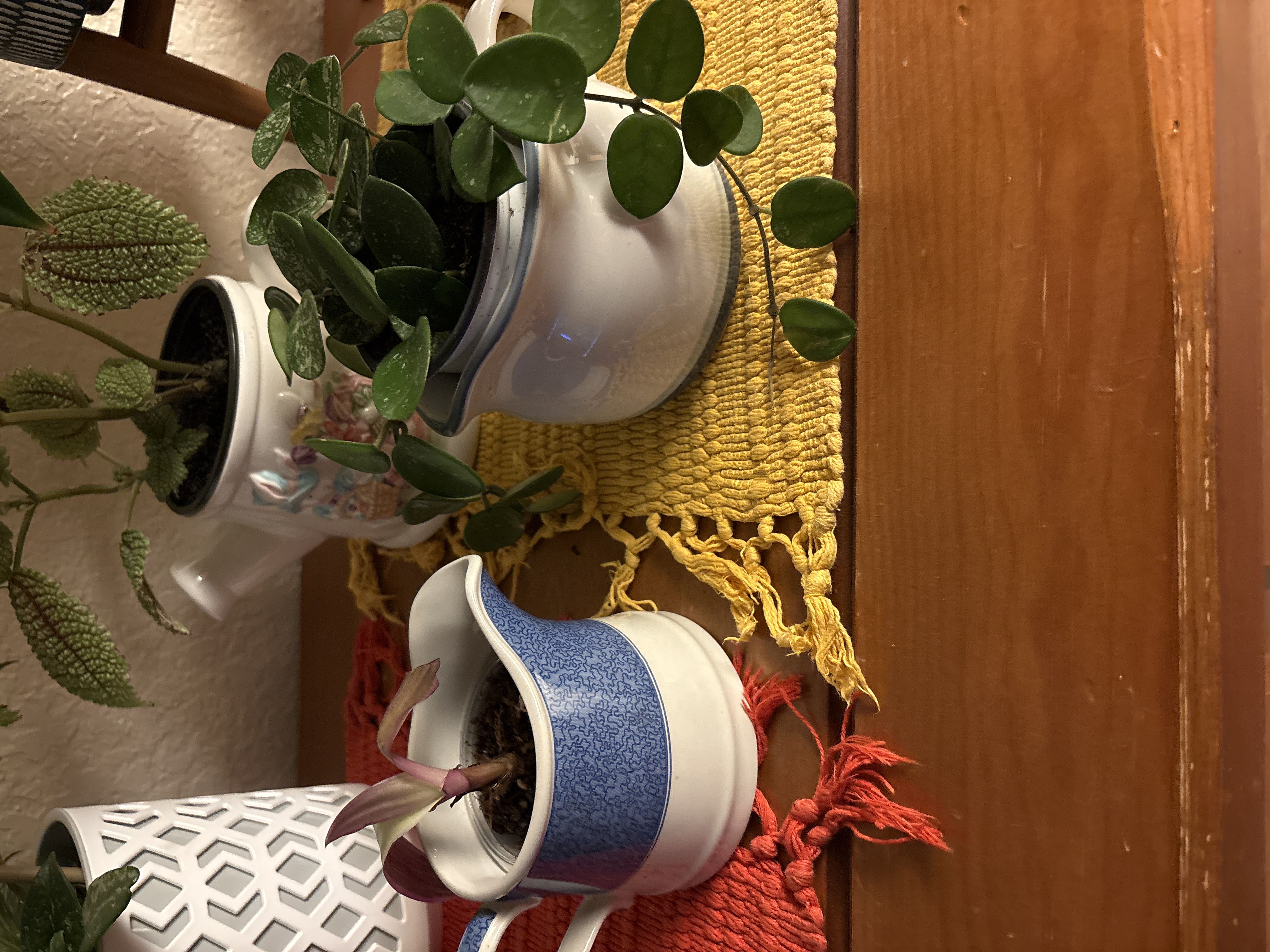 Photo from the post