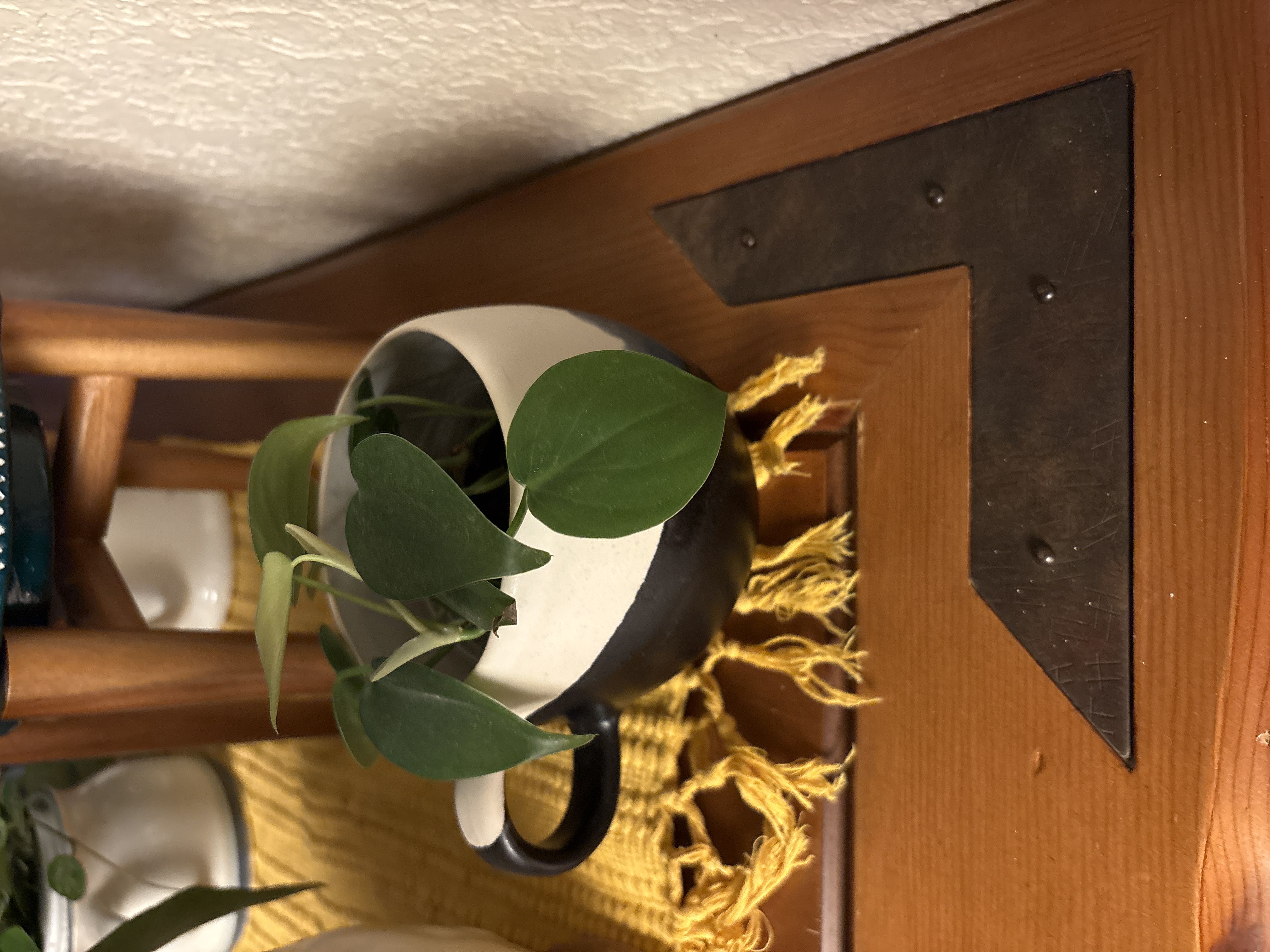 Photo from the post