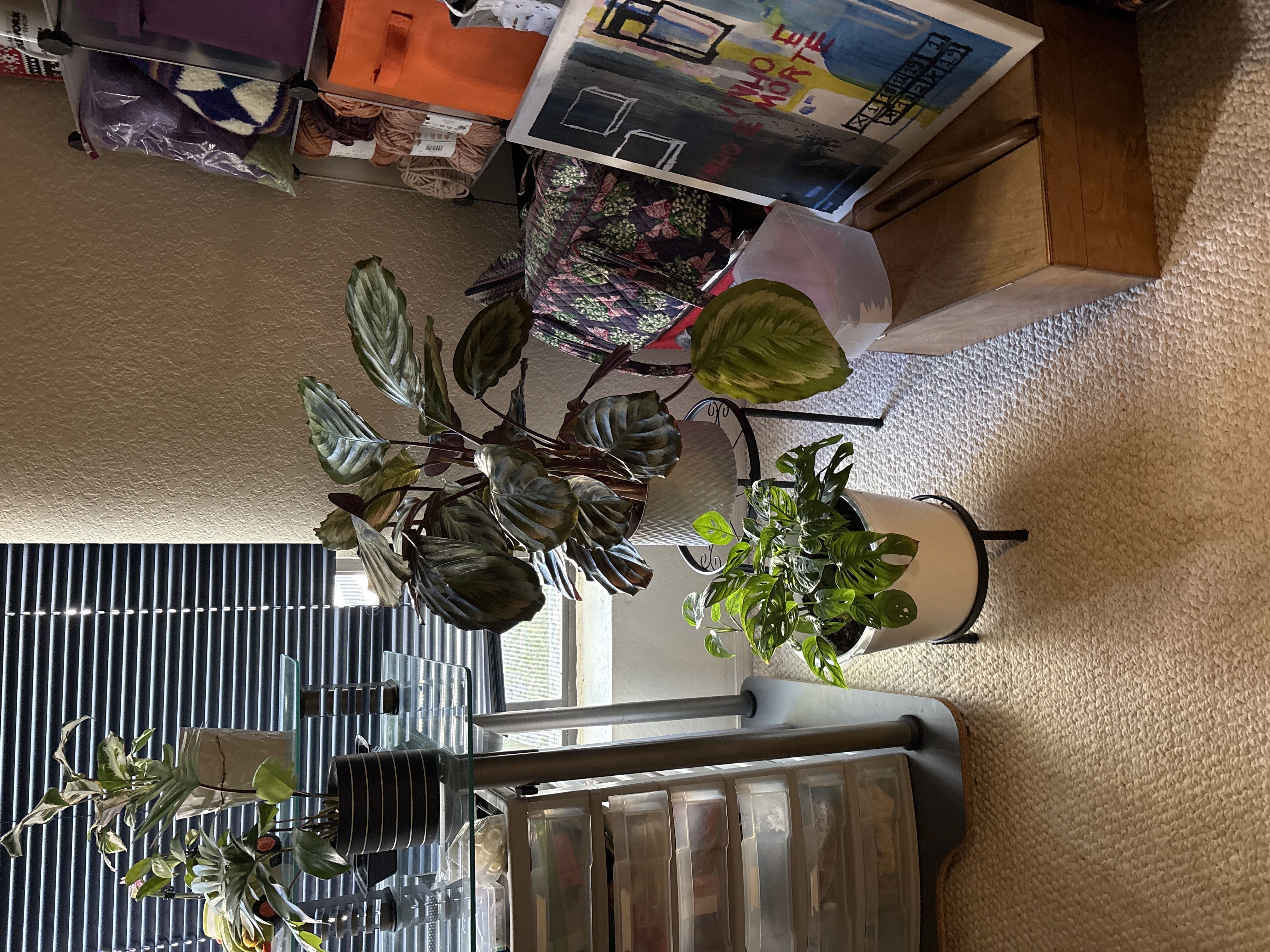 Photo from the post