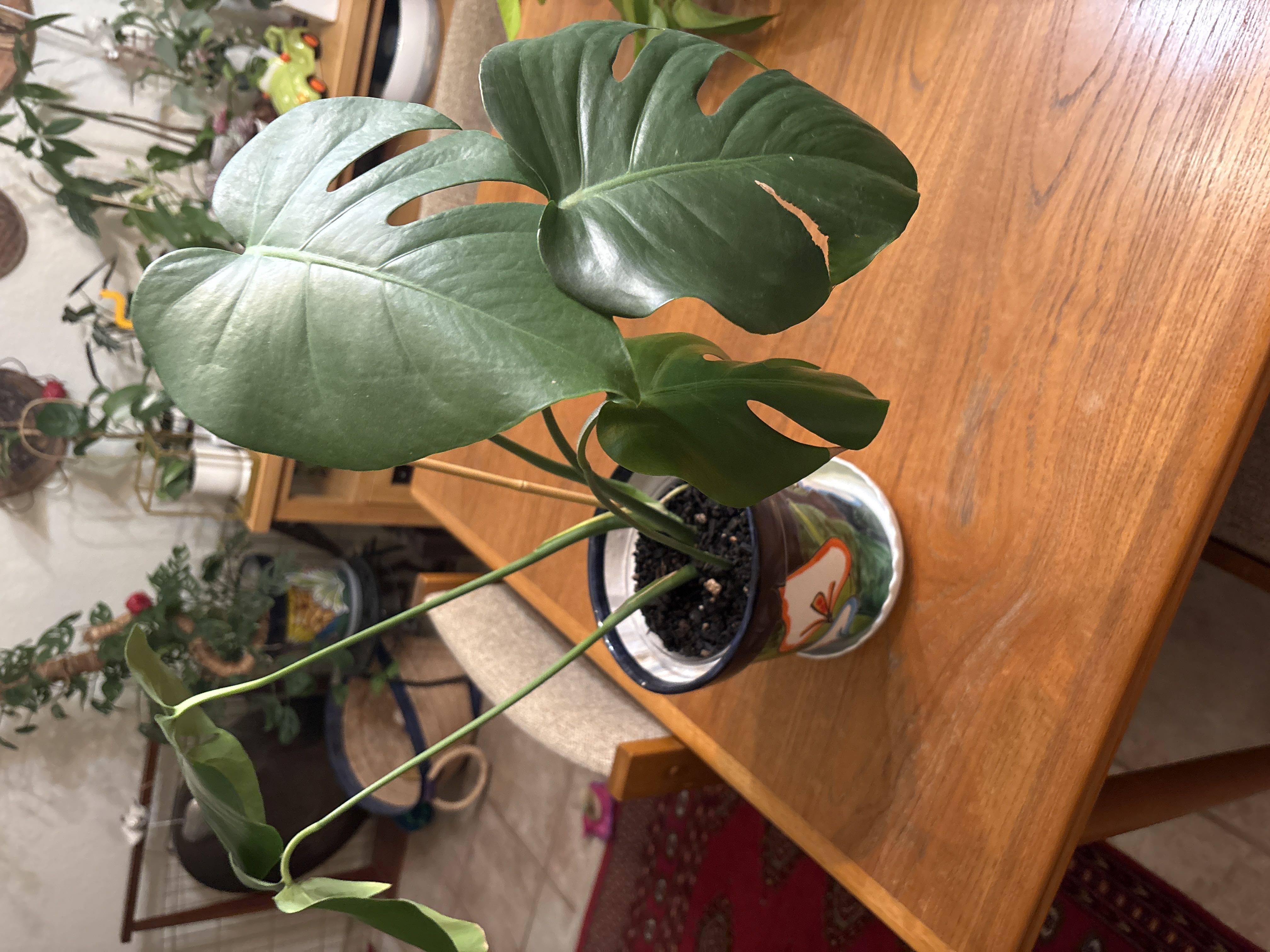 Photo from the post
