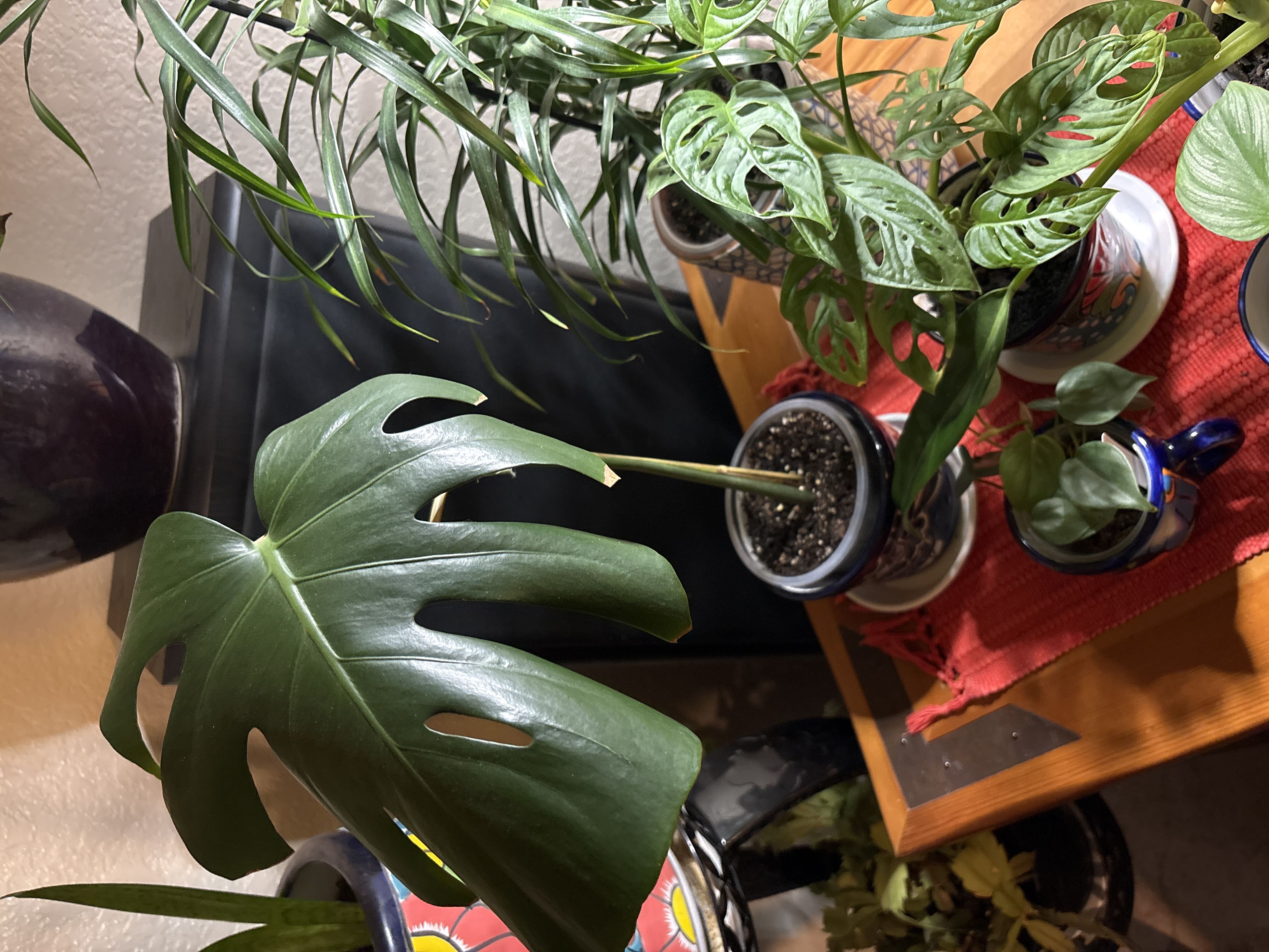 Photo from the post