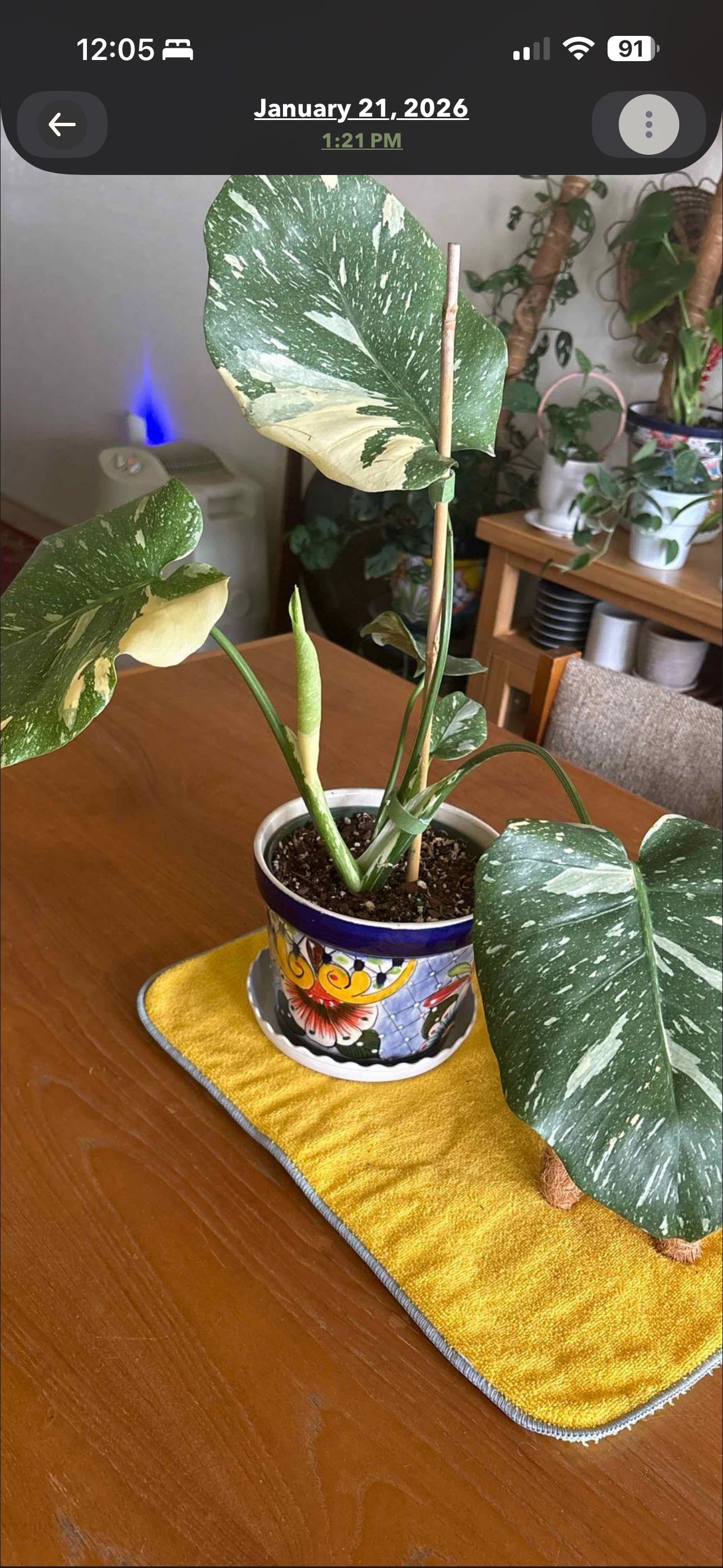 Photo from the post