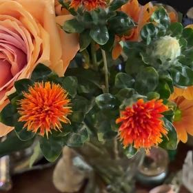 Photo of the plant species Safflower by @AvidCatnip14 named Gomez on Greg, the plant care app