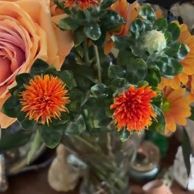 Photo of the plant species Safflower by @AvidCatnip14 named Sage on Greg, the plant care app