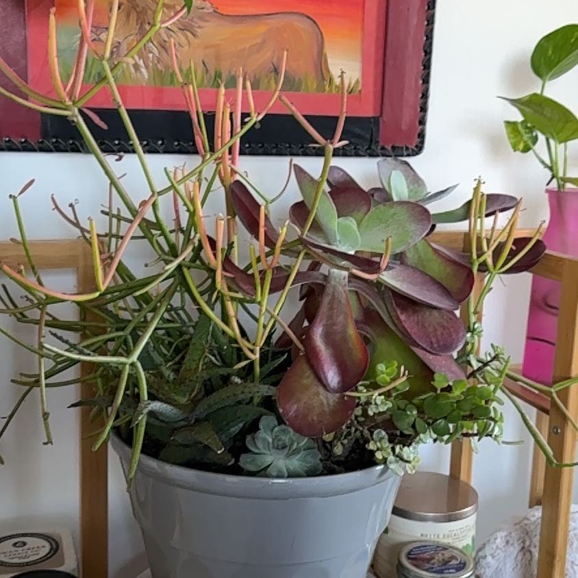 Photo from the post