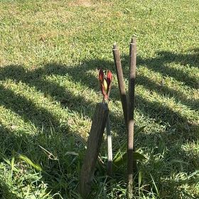 Photo of the plant species Red Hot Poker by @HeirMangeao45 named Bella on Greg, the plant care app