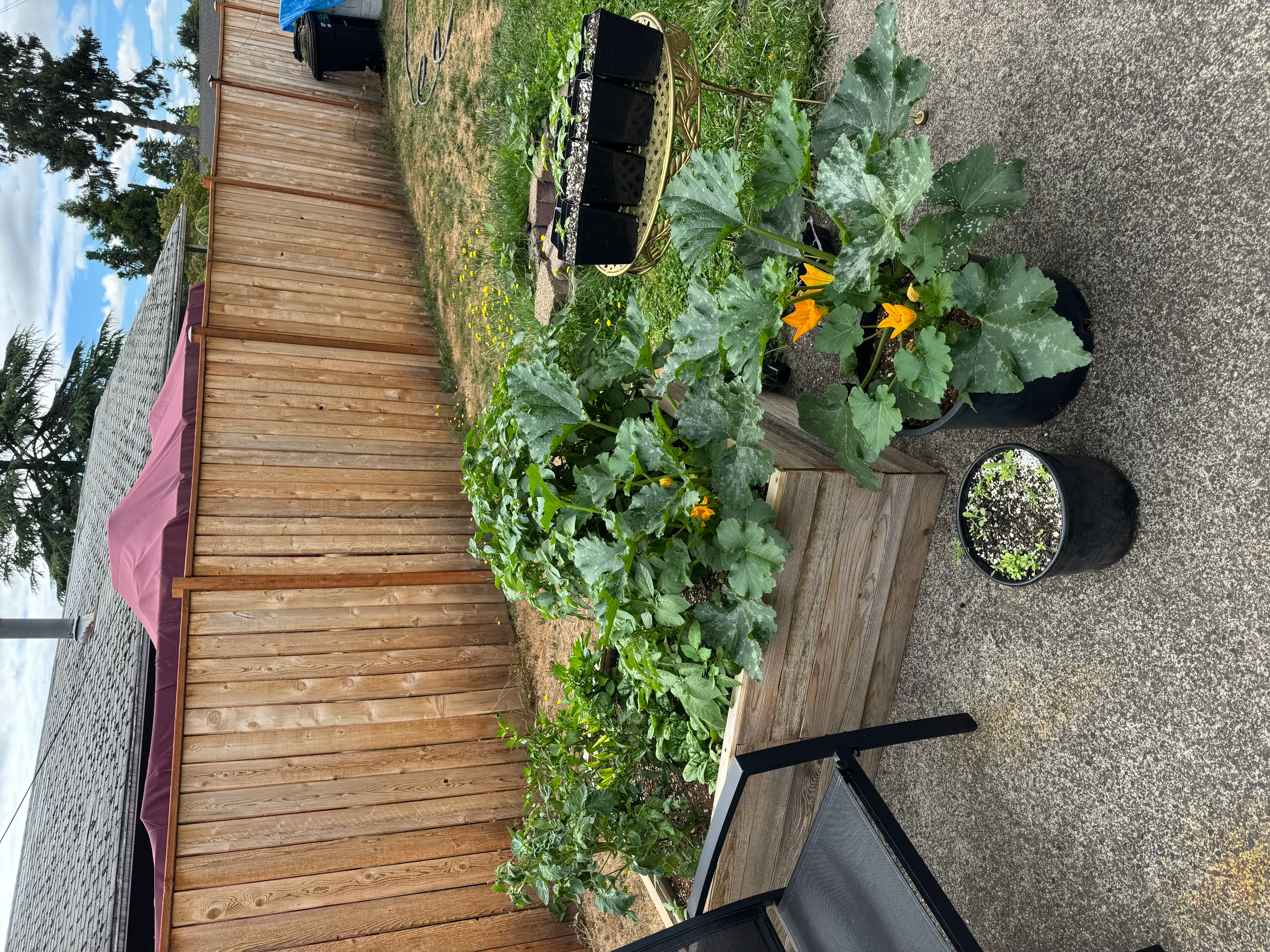 Photo from the post