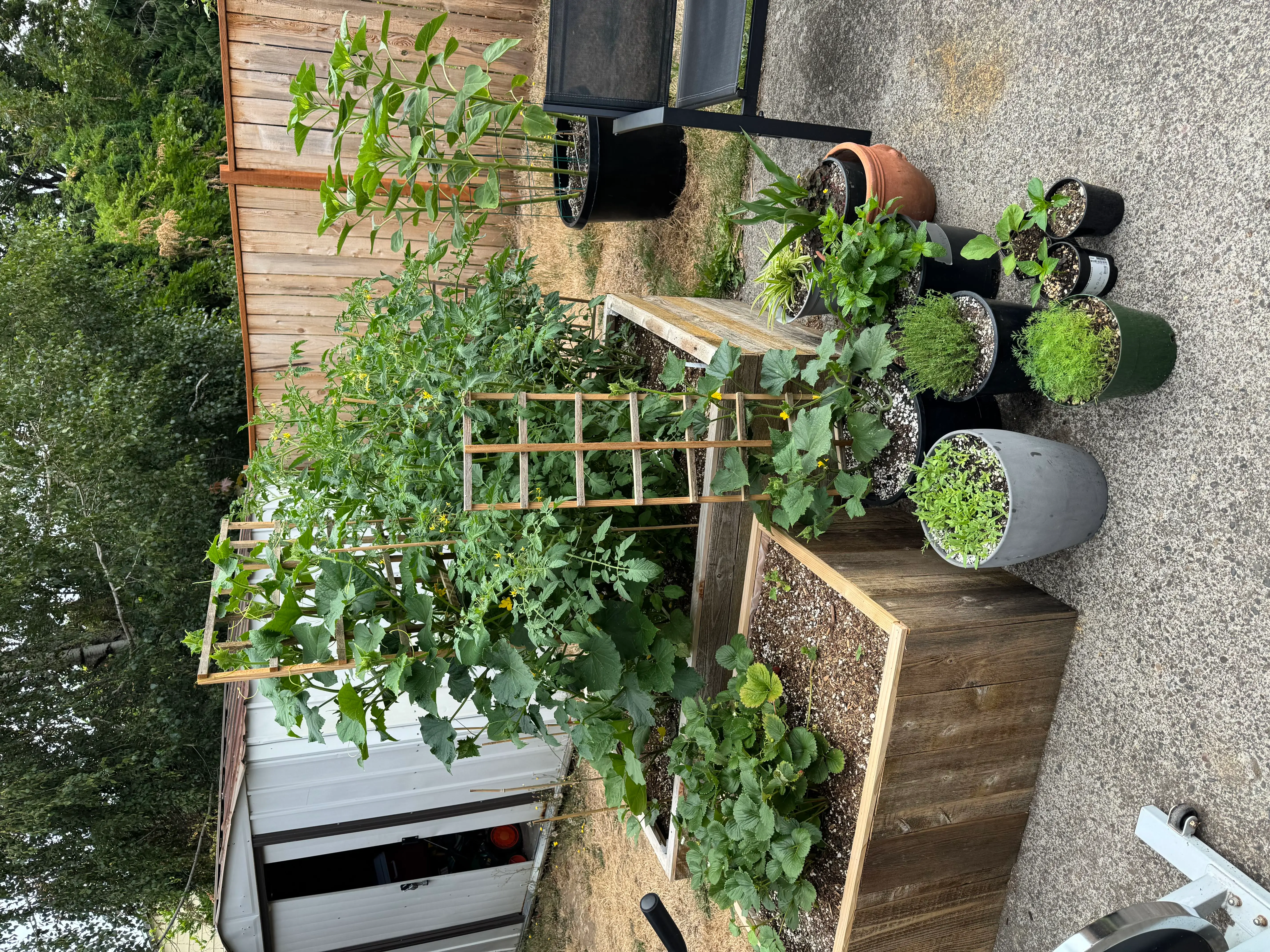 Photo from the post