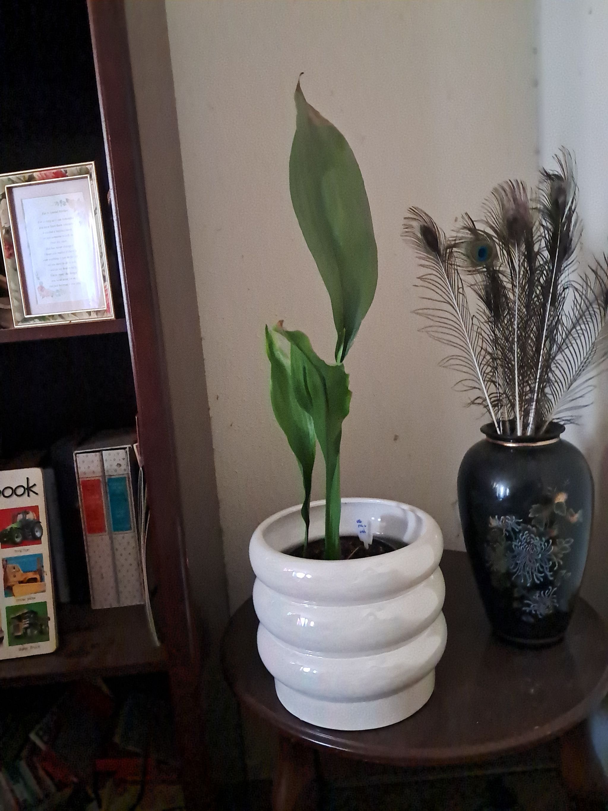 Photo from the post