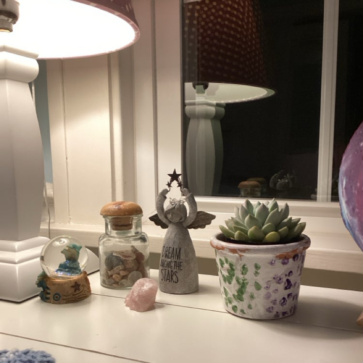 Photo of the plant species Sedeveria 'Lilac Mist' by @stella named petunia on Greg, the plant care app