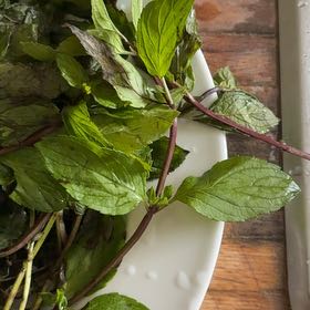 Photo of the plant species Peppermint by @HonoredPeanut73 named J. R. Keeley on Greg, the plant care app