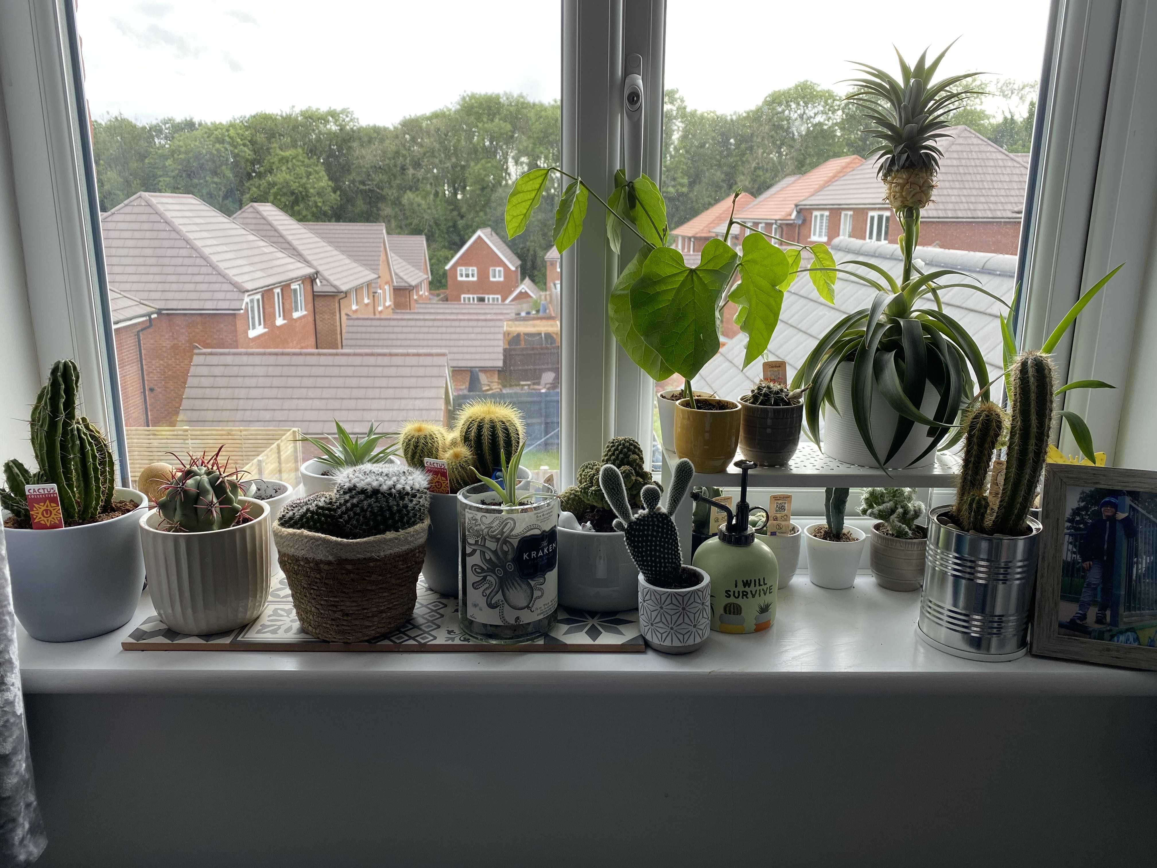 Photo from the post