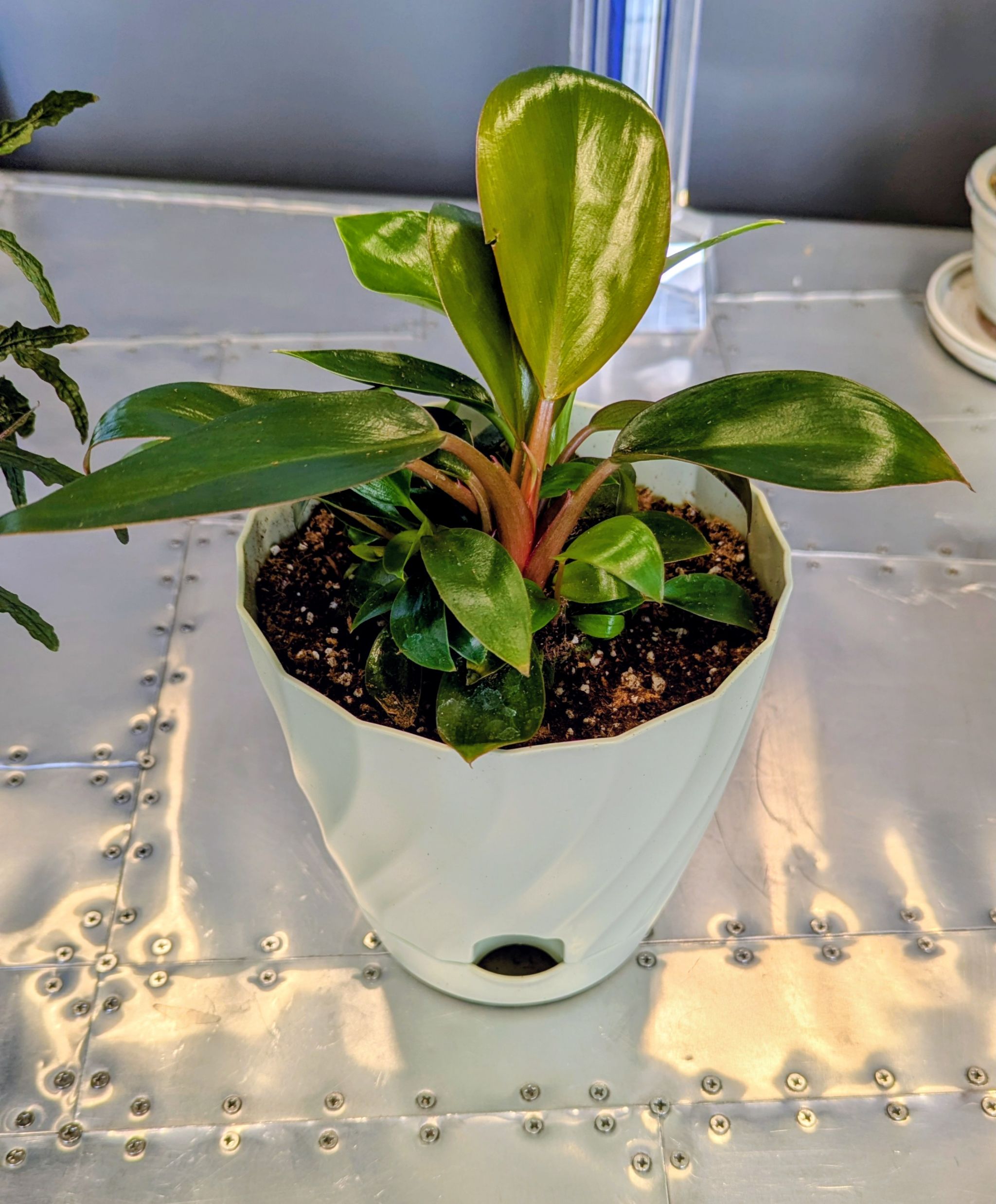 Photo from the post