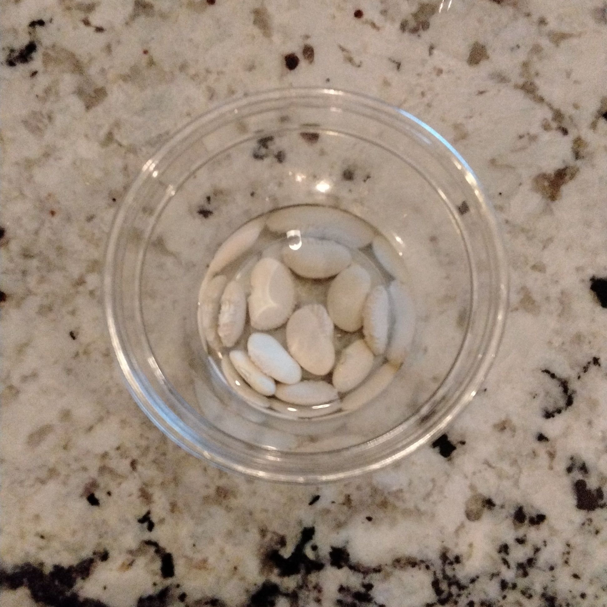 Photo of the plant species Lima Bean by @HipAnahaw41 named Beanies on Greg, the plant care app