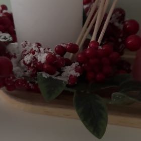 Photo of the plant species Milkflower Cotoneaster by @LordKeylime59 named Gomez on Greg, the plant care app