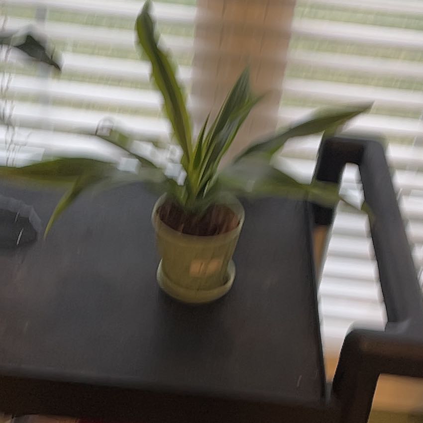 Photo of the plant species White Jewel Dracaena by @DynamoSweetmint named Bodhi on Greg, the plant care app