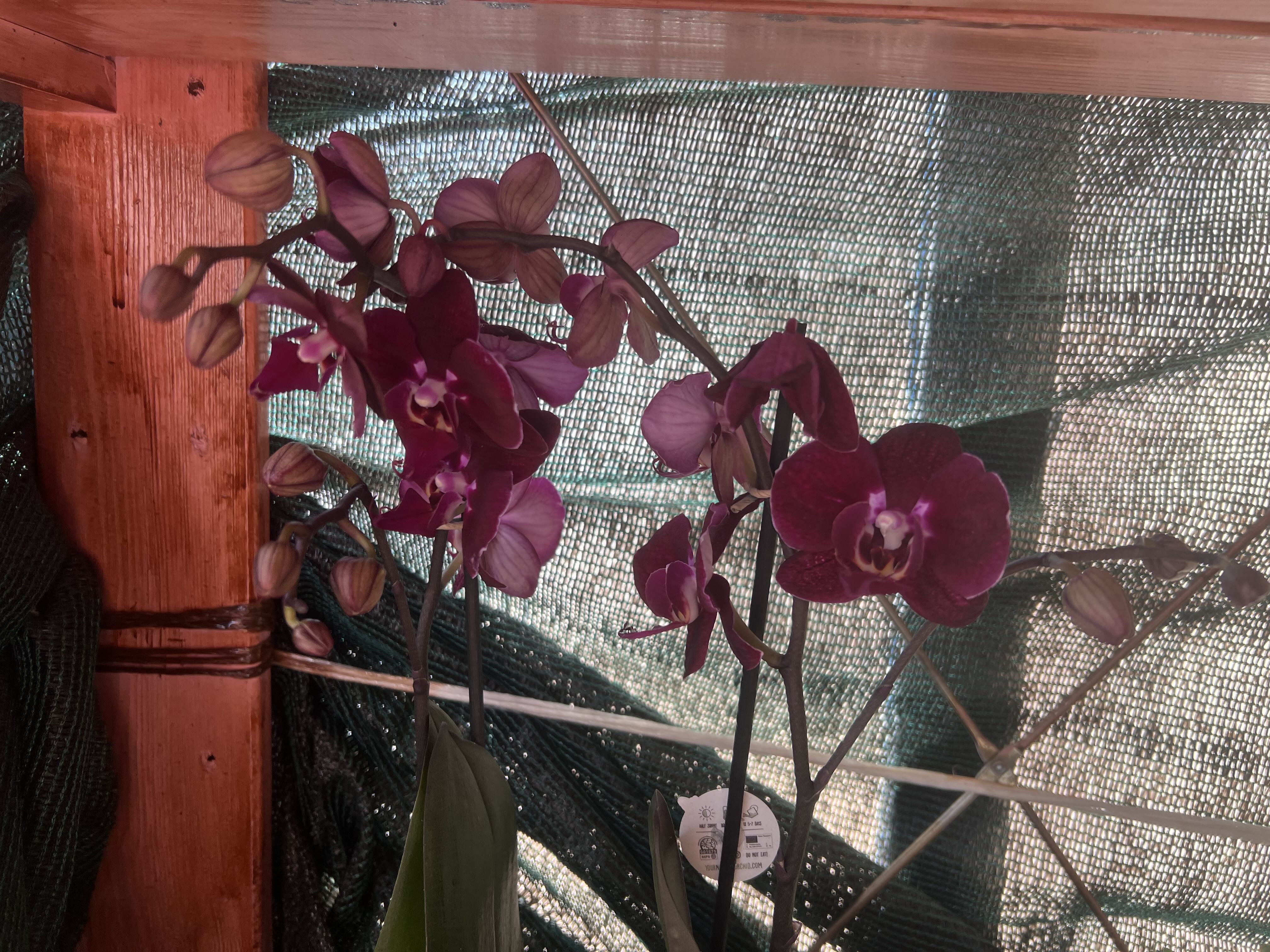 Photo from the post