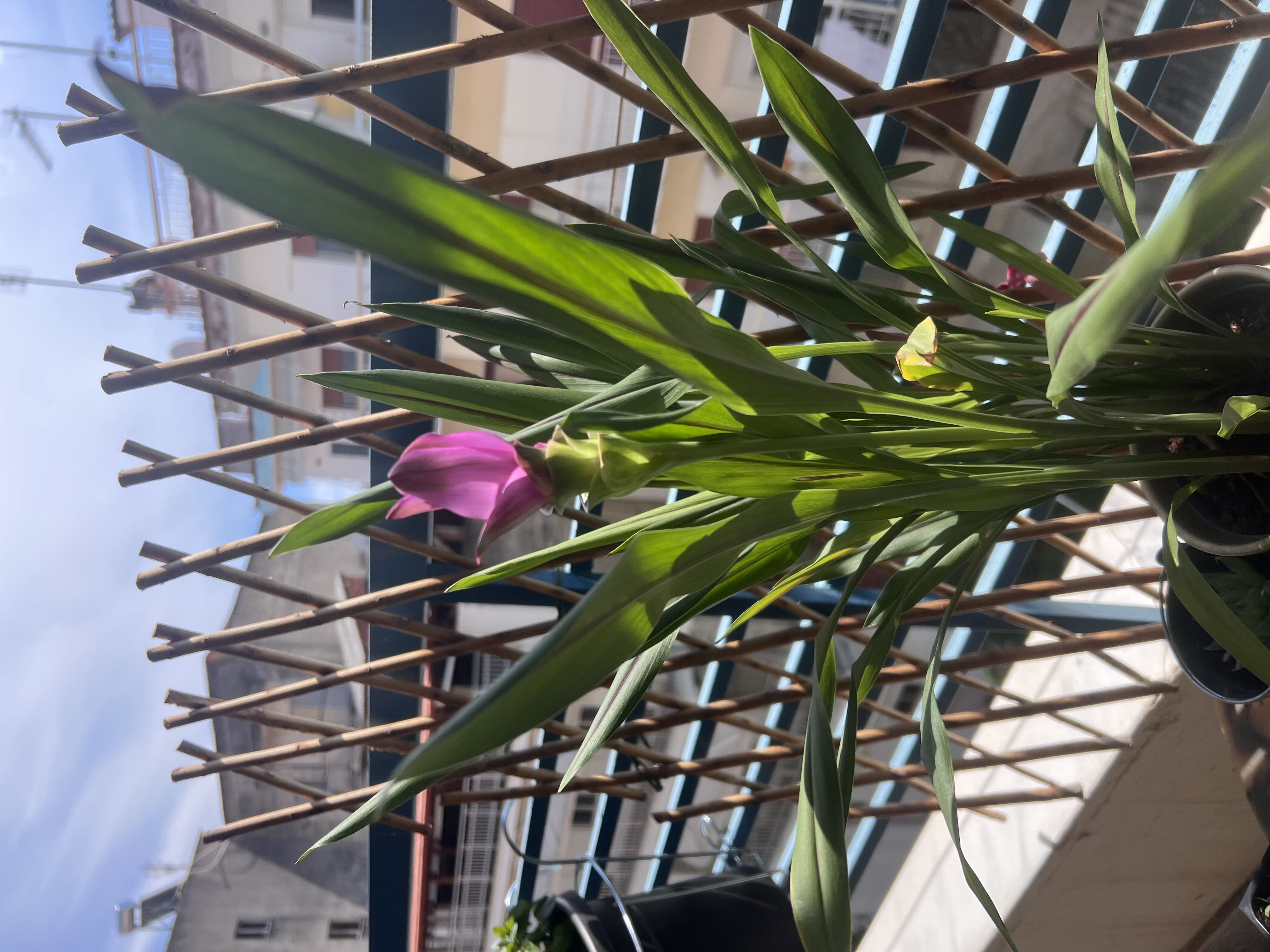 Photo from the post