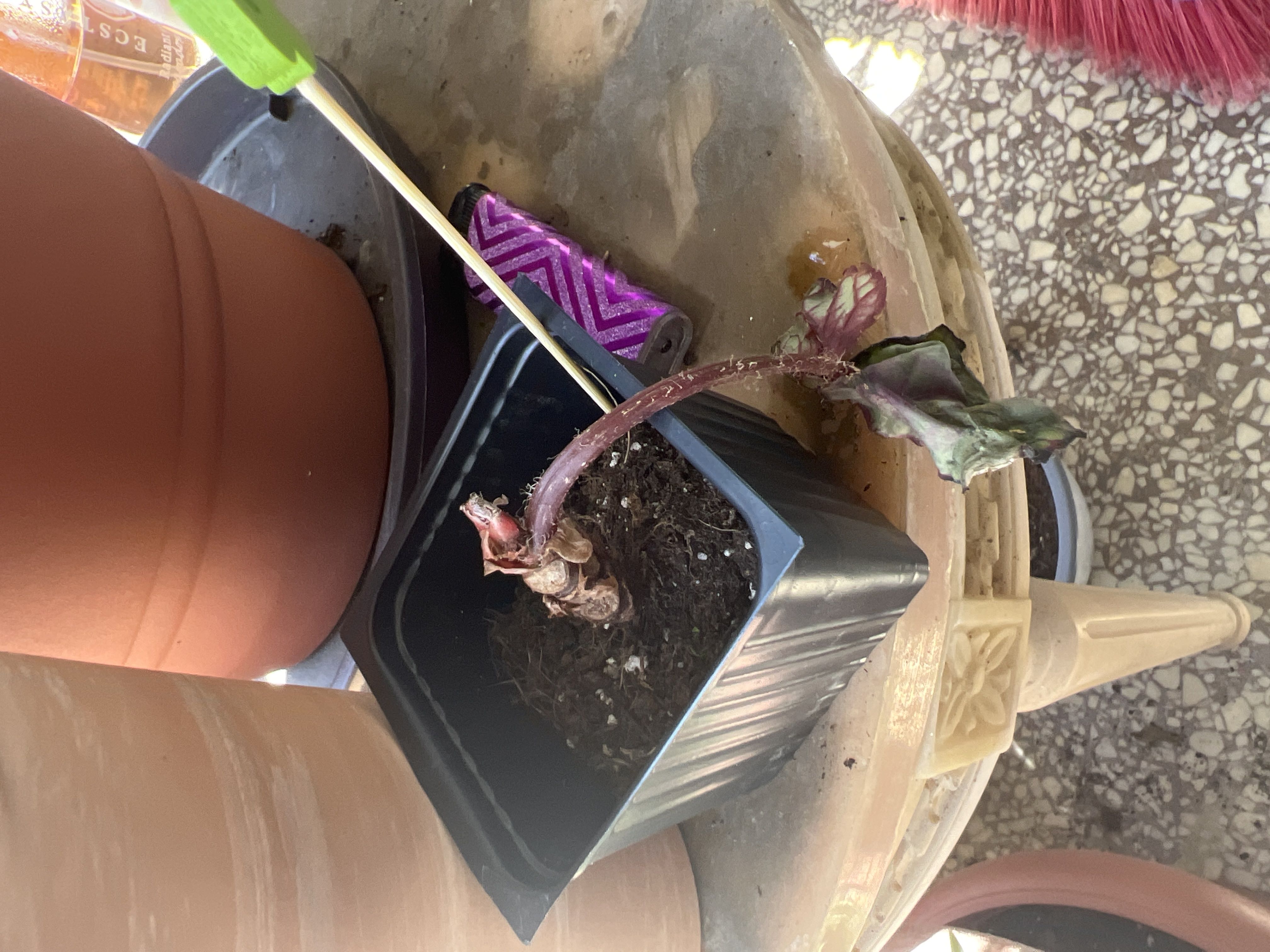 Photo from the post