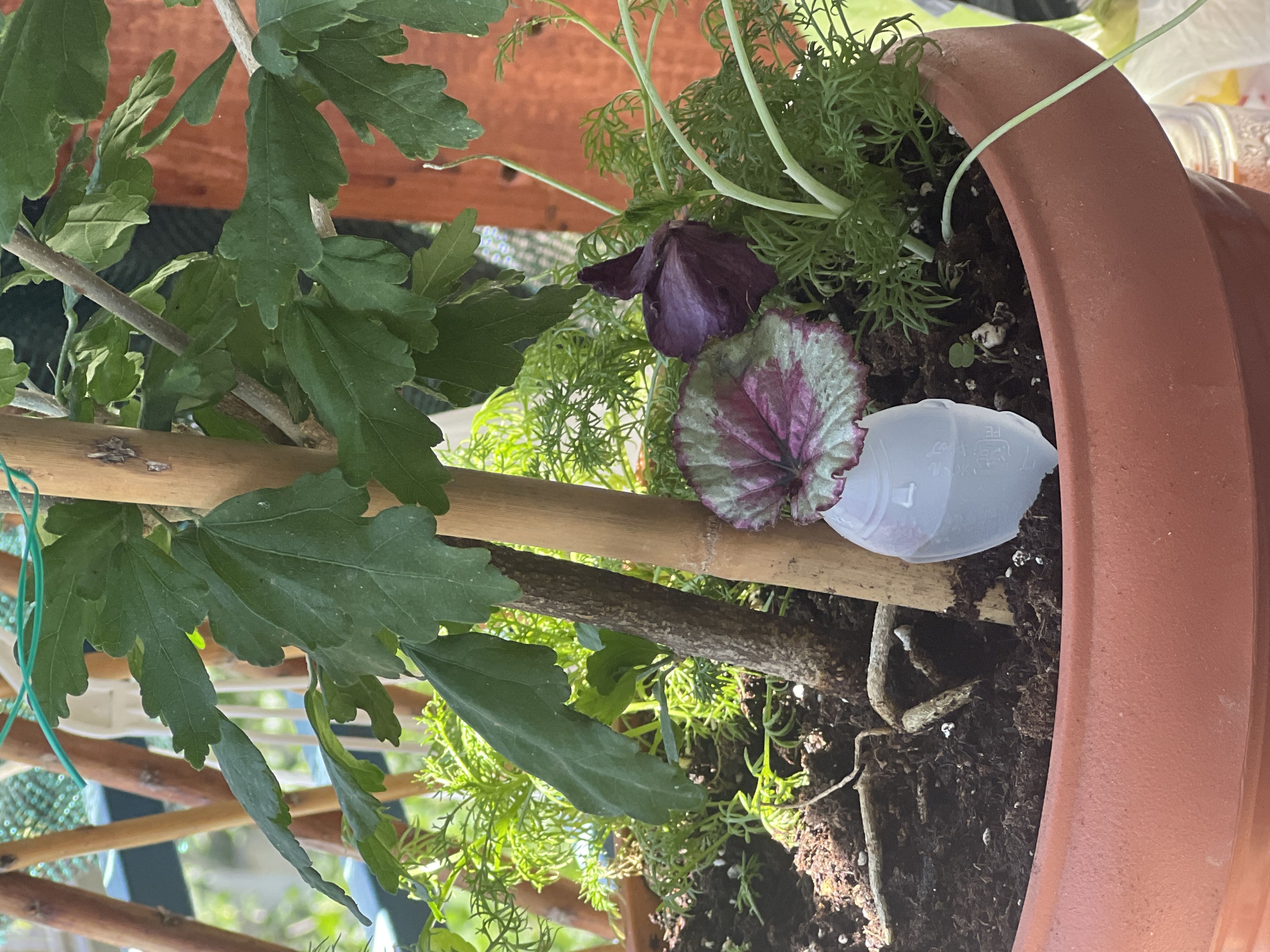 Photo from the post