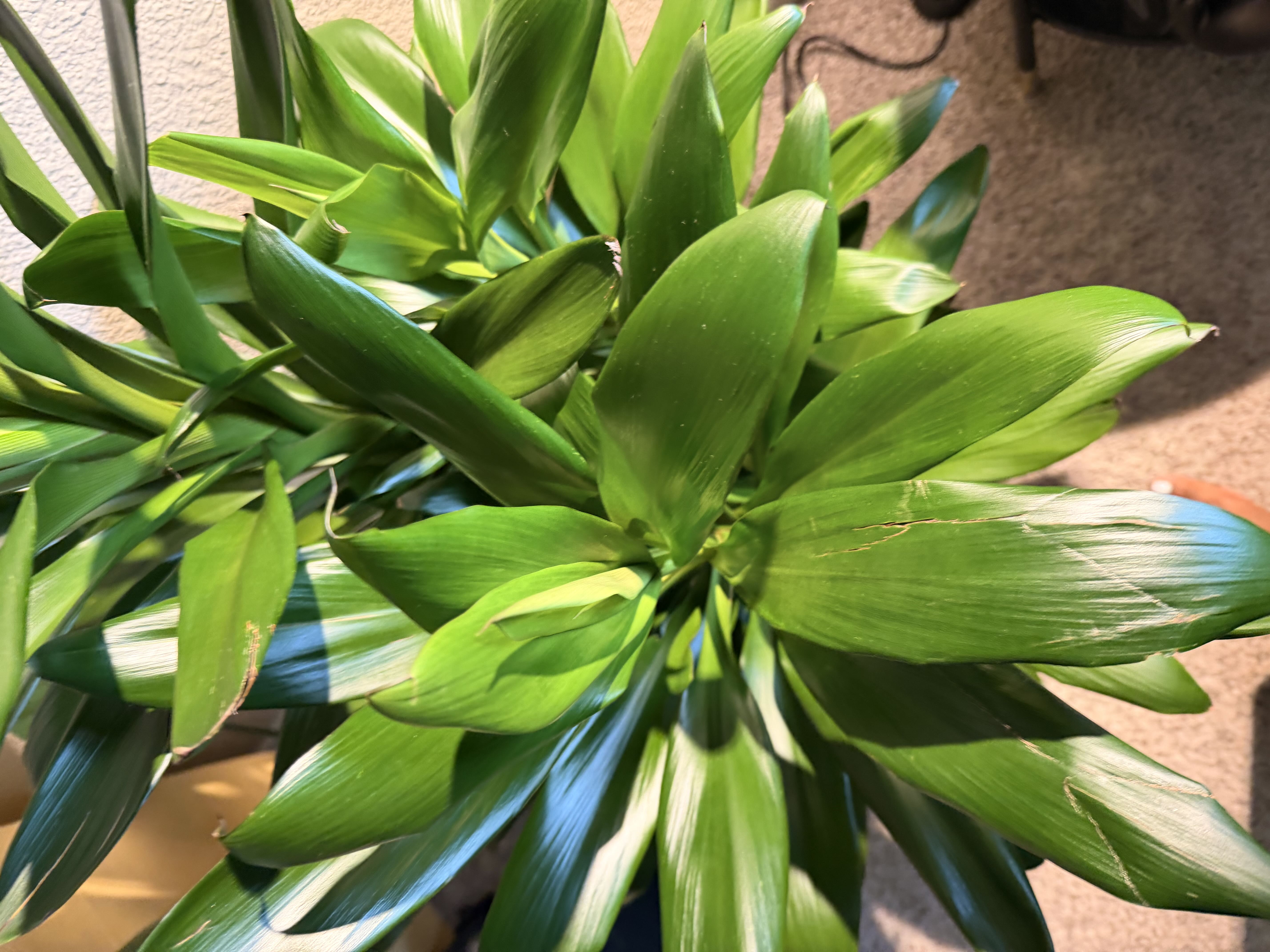 Photo from the post