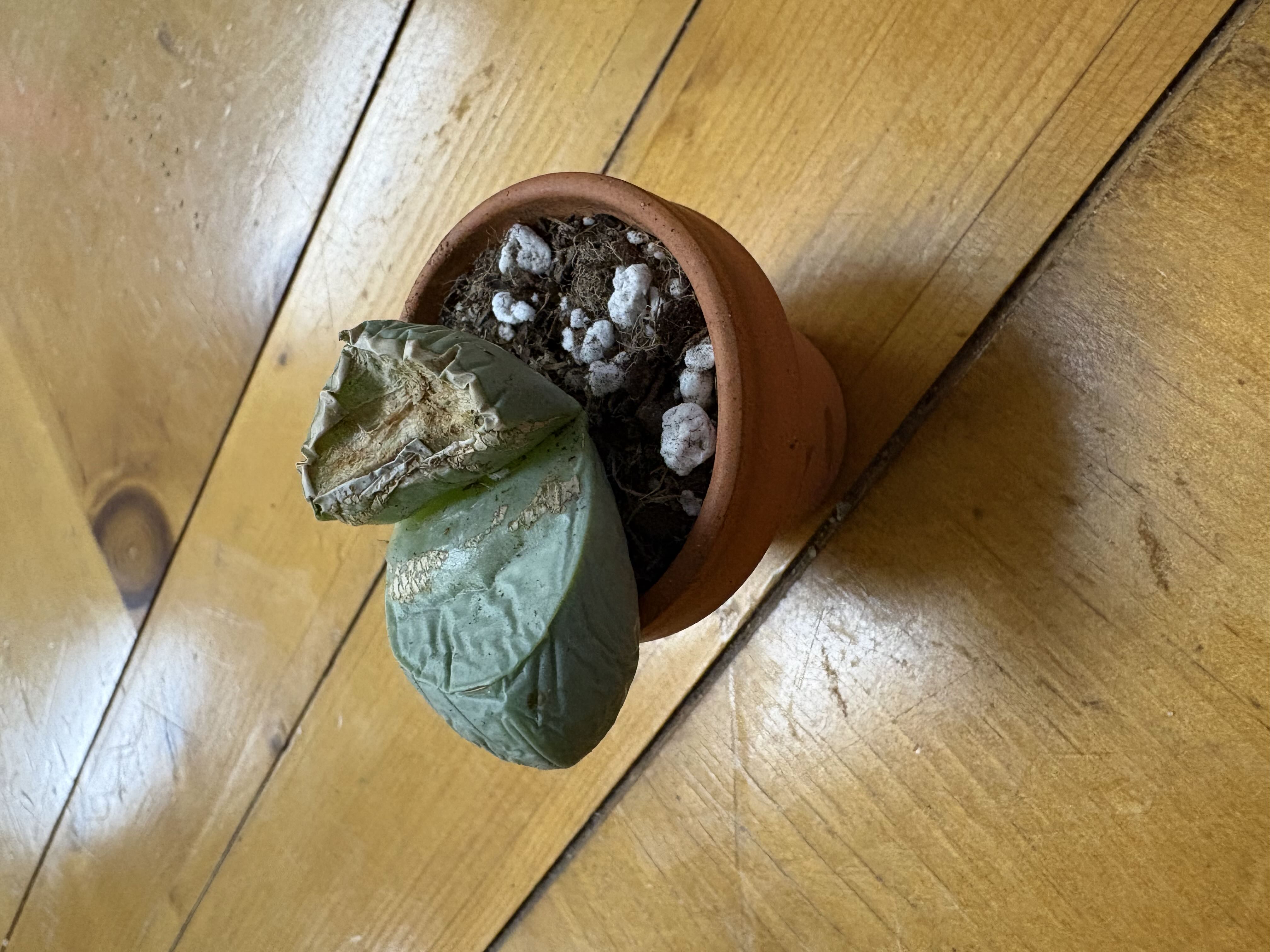 Photo from the post