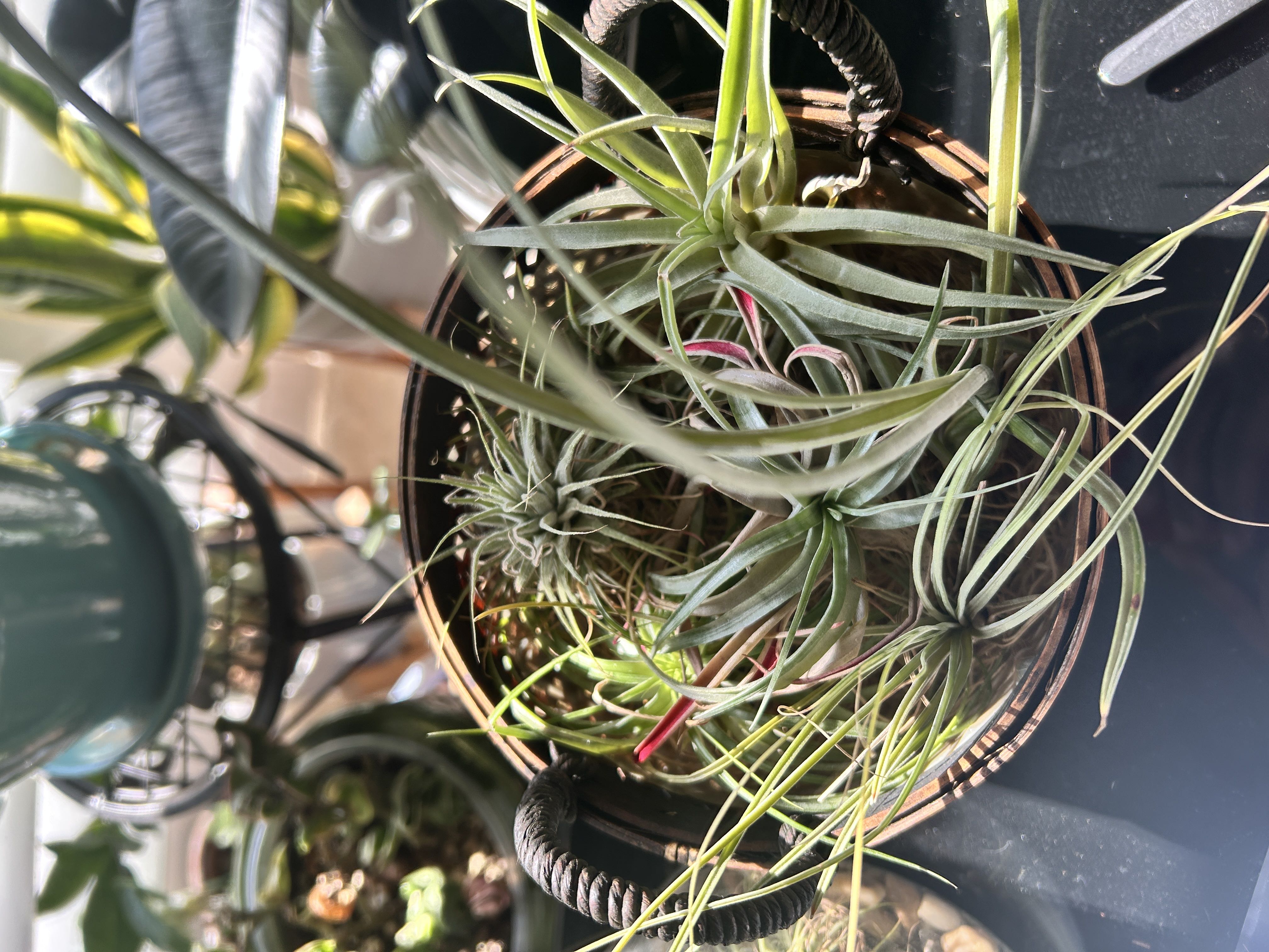 Photo from the post