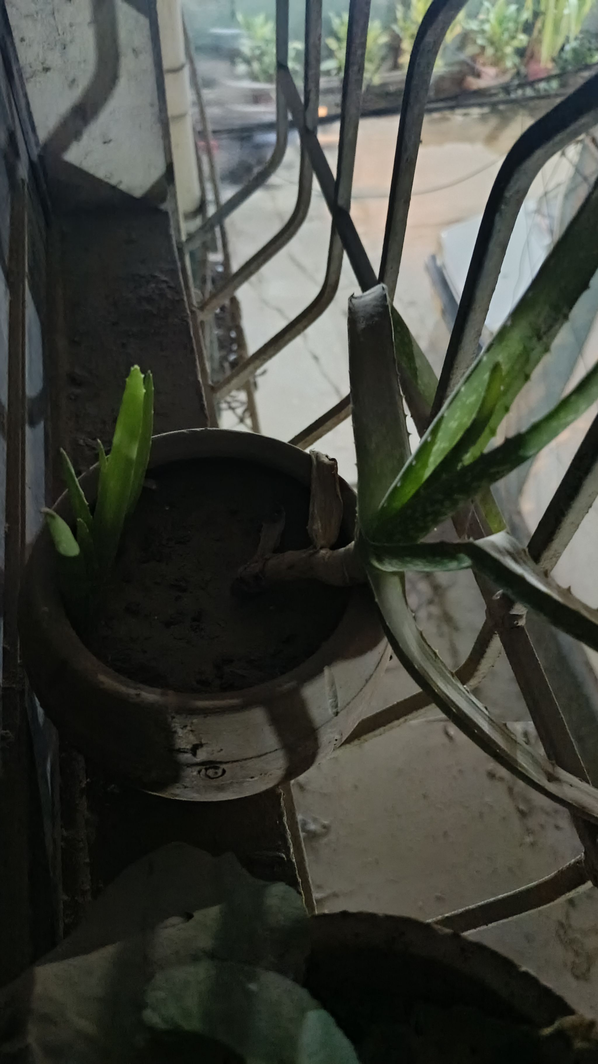 Photo from the post