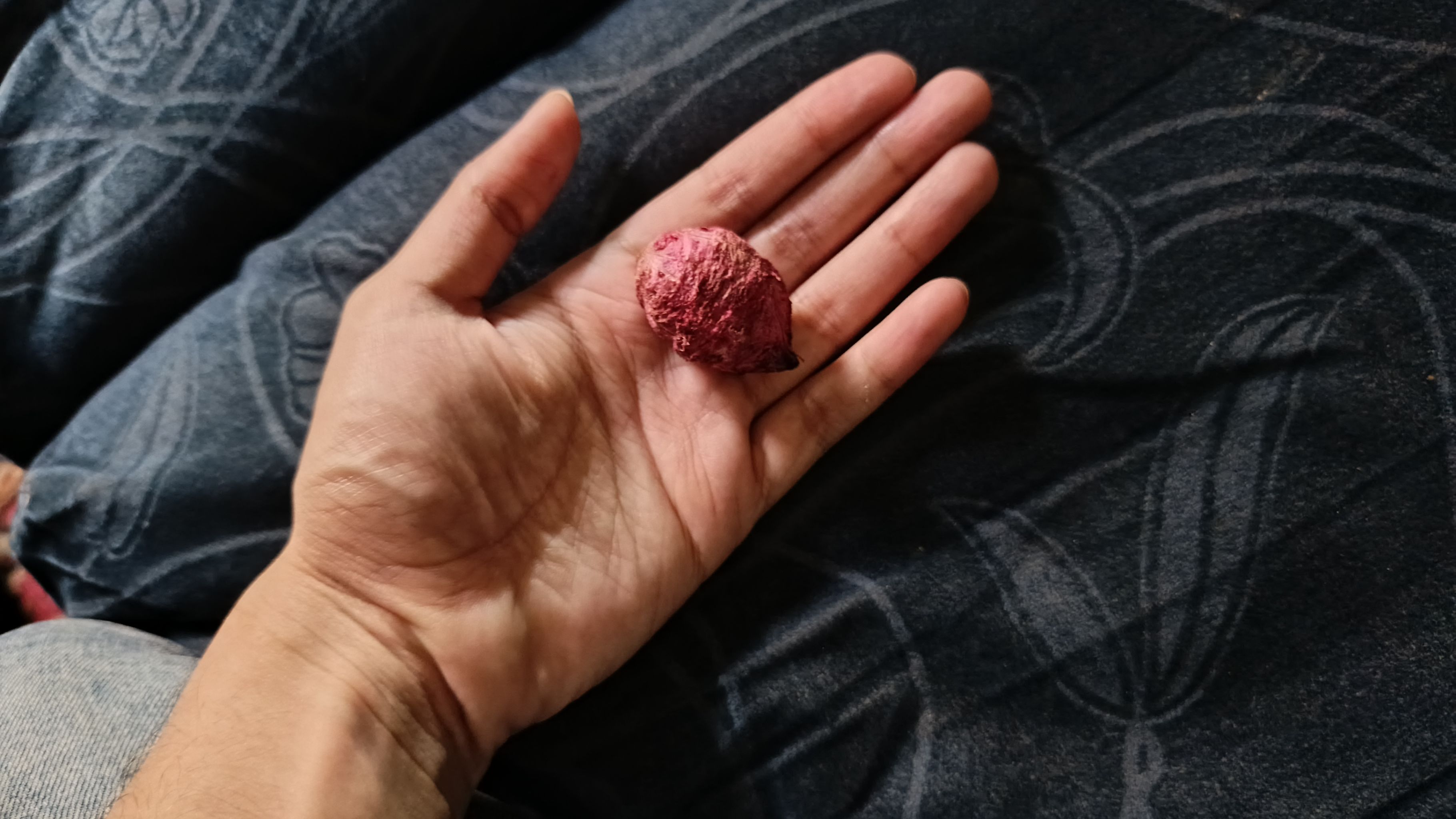 Photo from the post