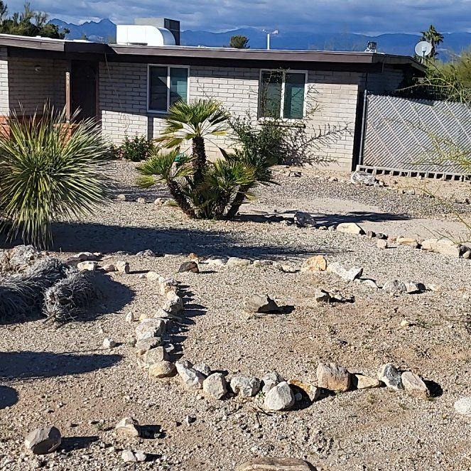 Photo of the plant species Mohave Yucca by @MaximalPuriri34 named Aria on Greg, the plant care app
