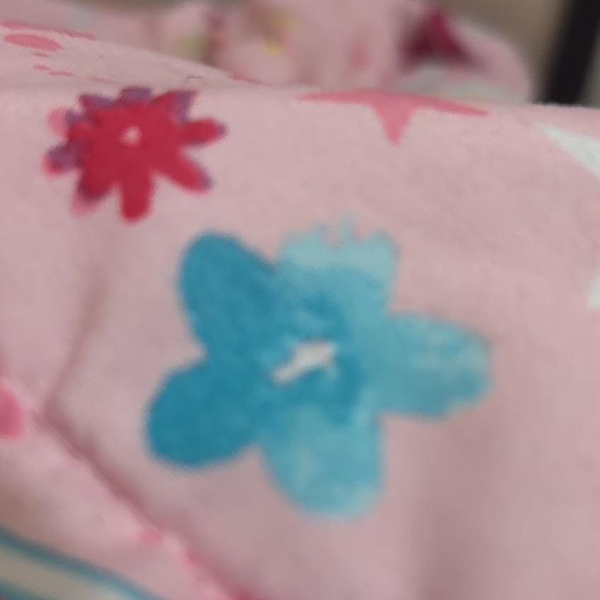 Photo of the plant species Baby Blue Eyes by @SeasonalChia12 named Naomi on Greg, the plant care app