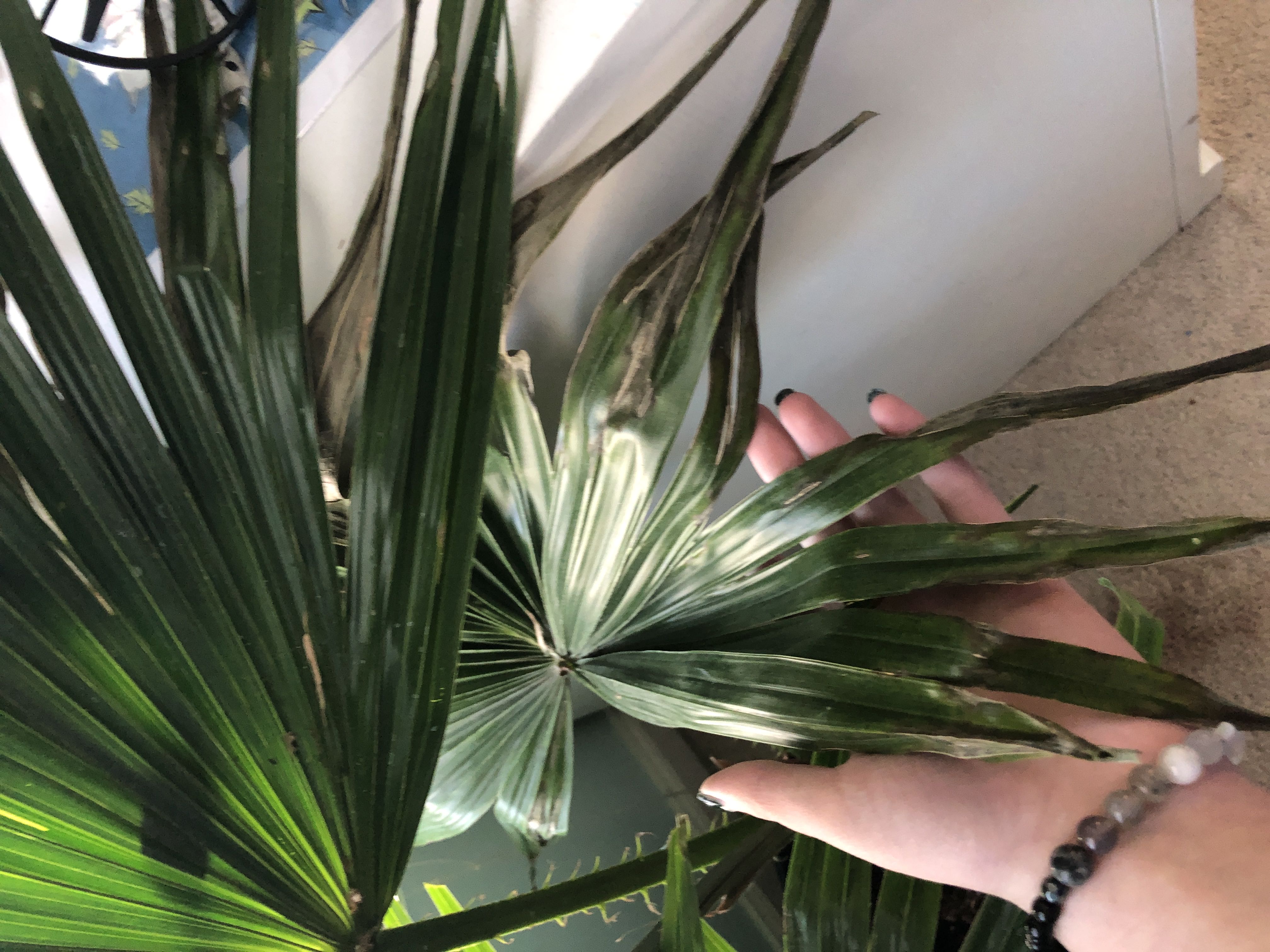 Photo from the post