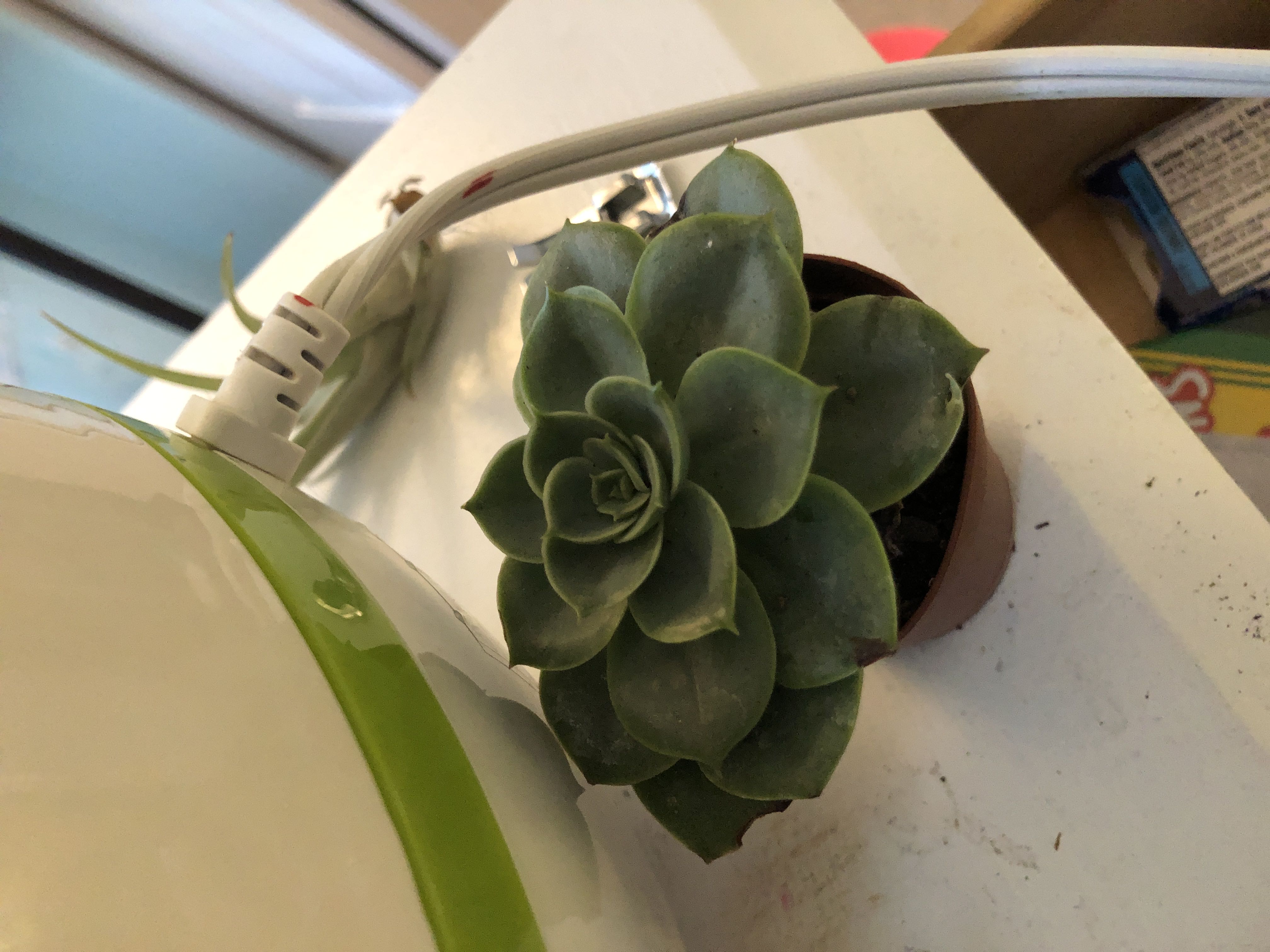 Photo from the post