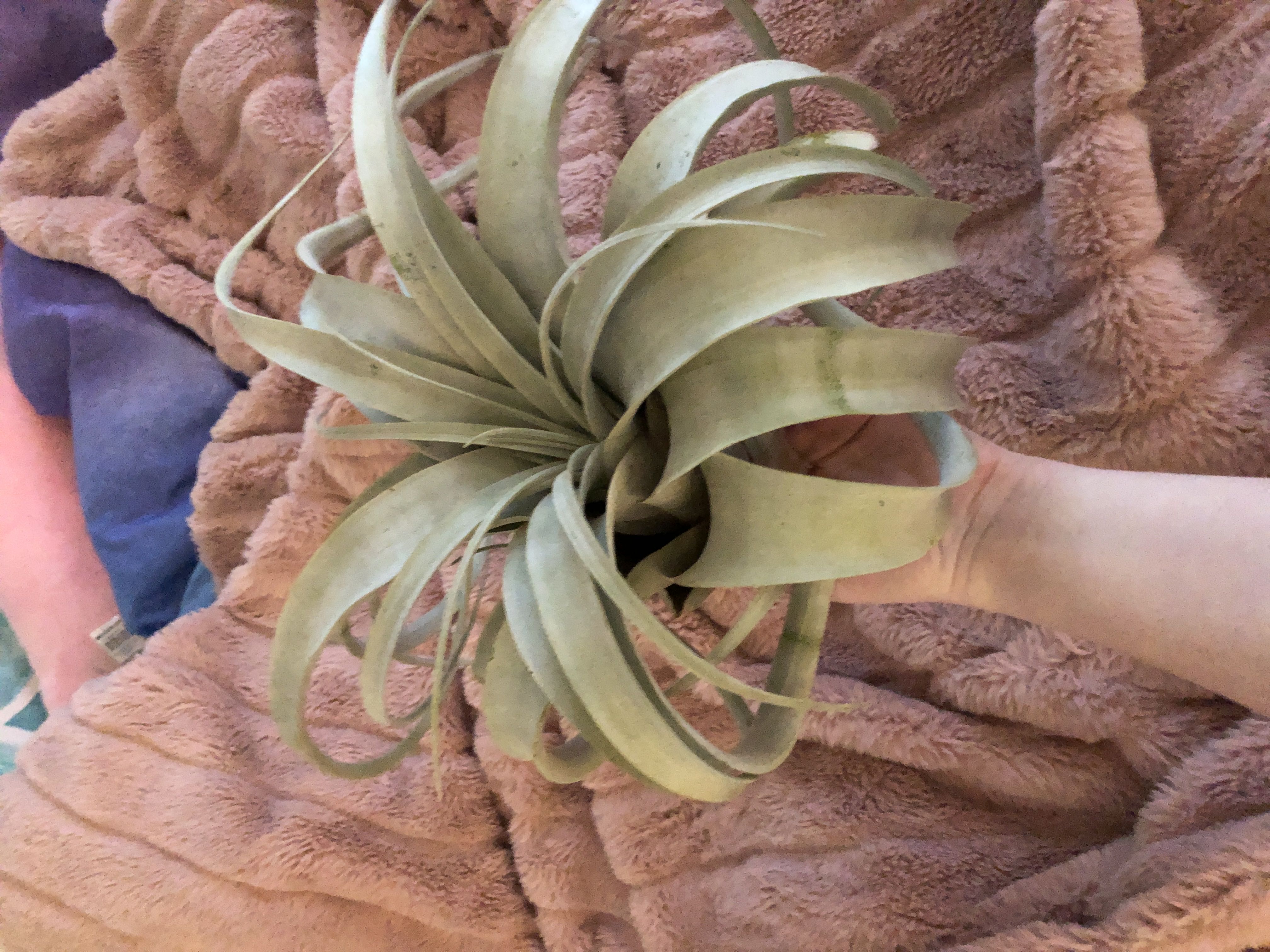 Photo from the post