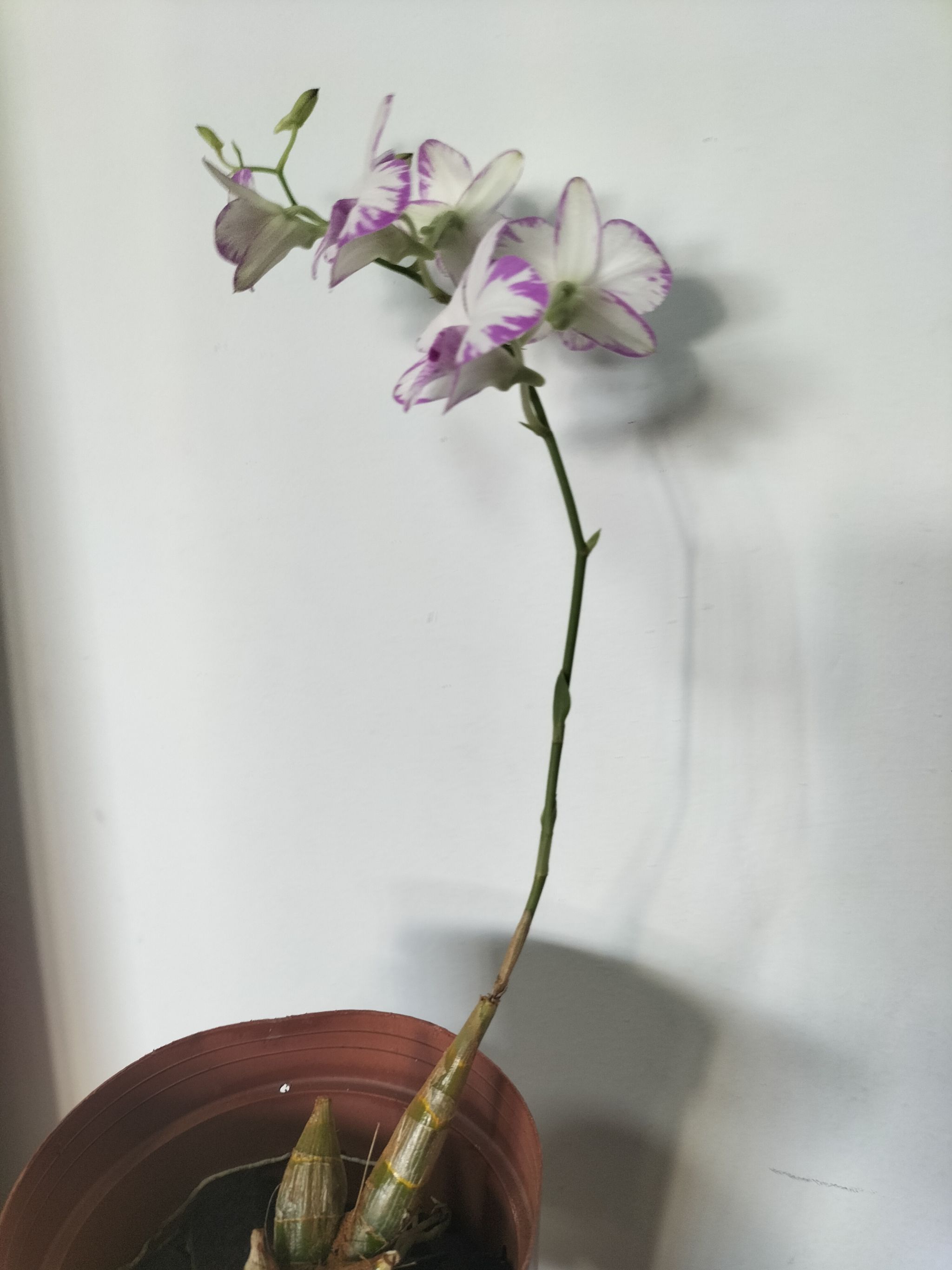 Photo from the post