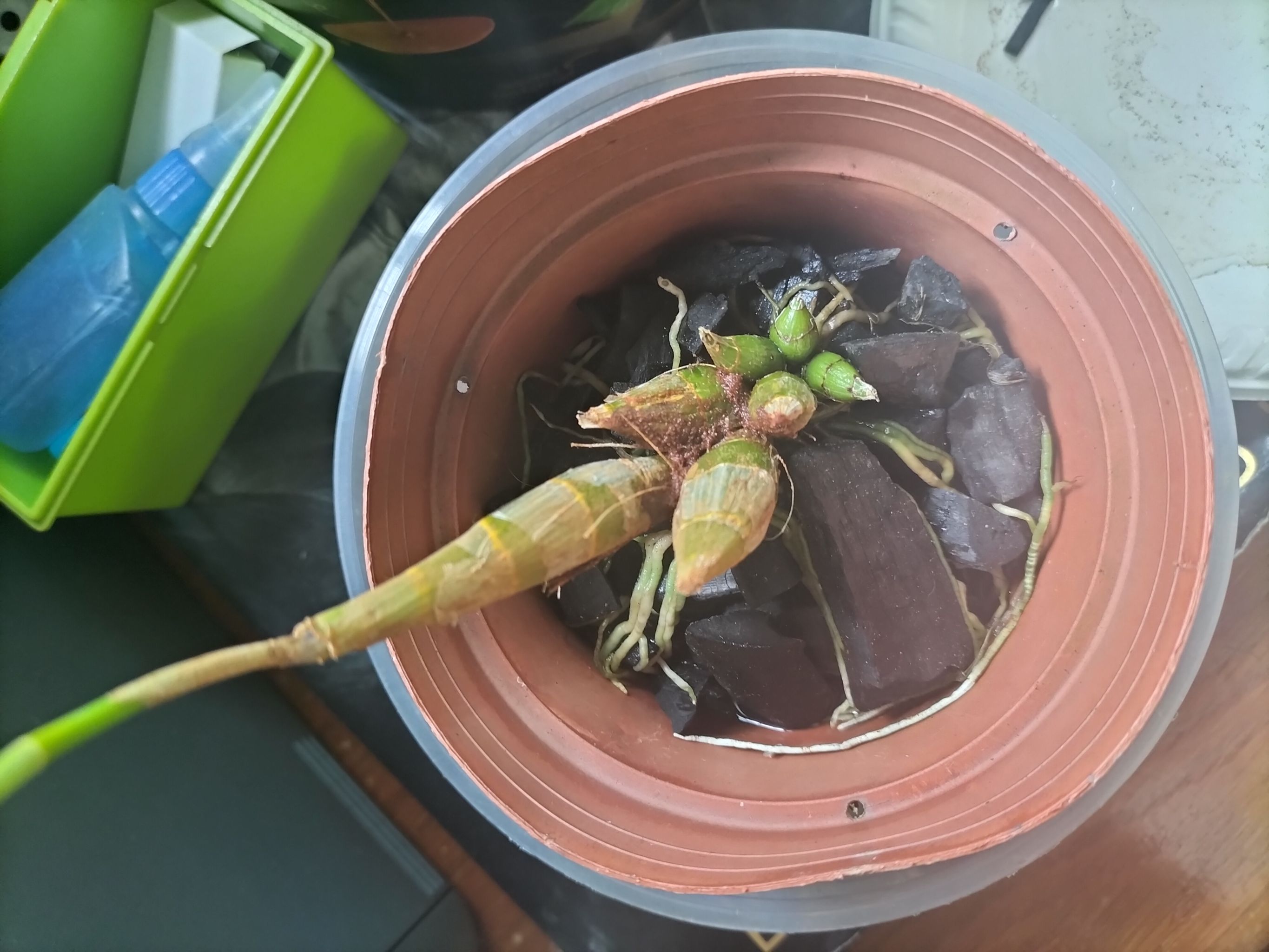 Photo from the post
