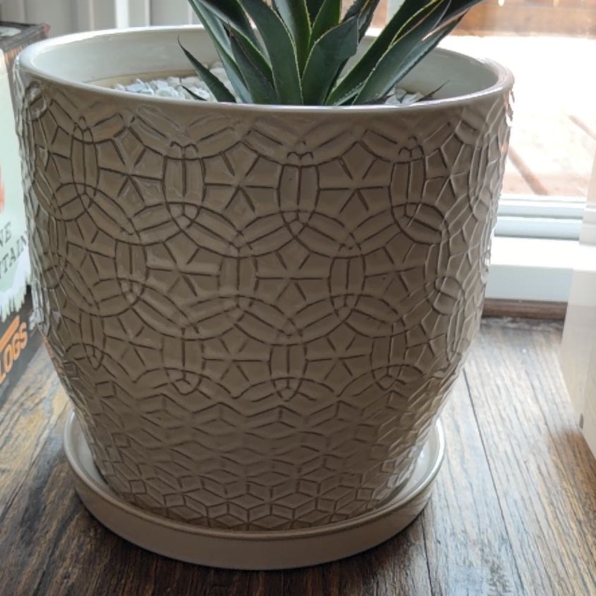 Photo of the plant species Agave Blue Glow by @ProdigalPlanter named Chanel on Greg, the plant care app