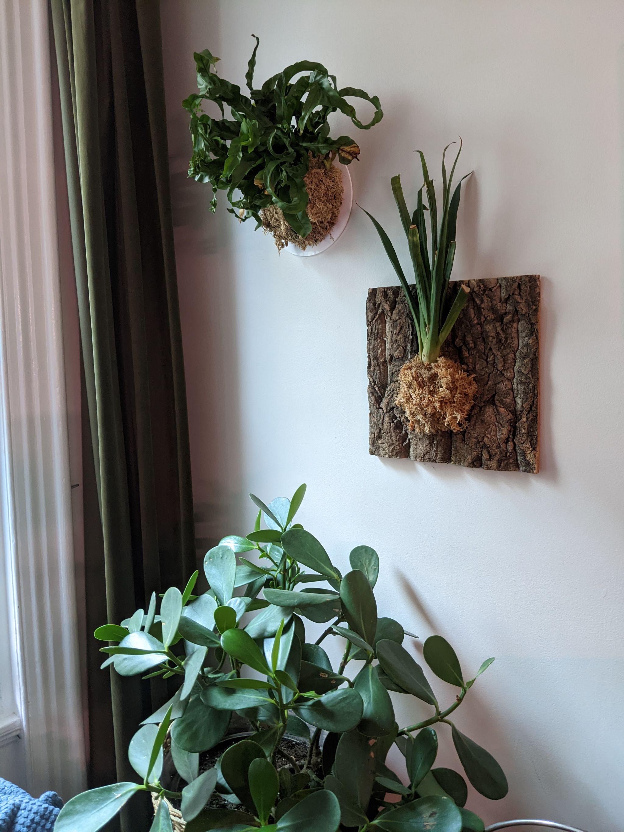 Photo from the post