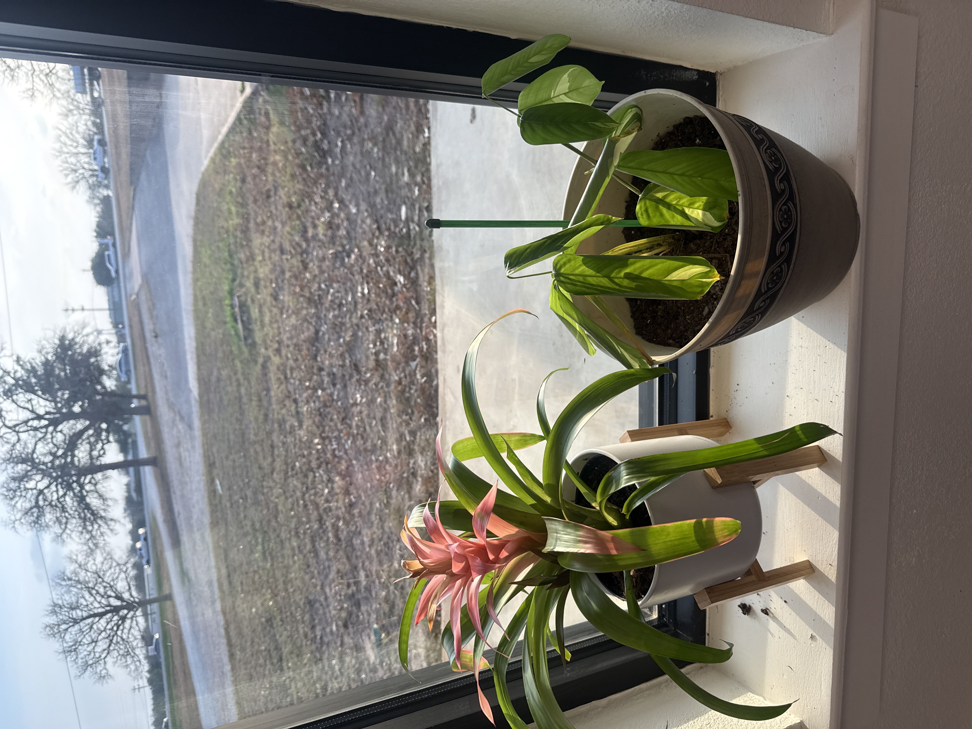 Photo from the post