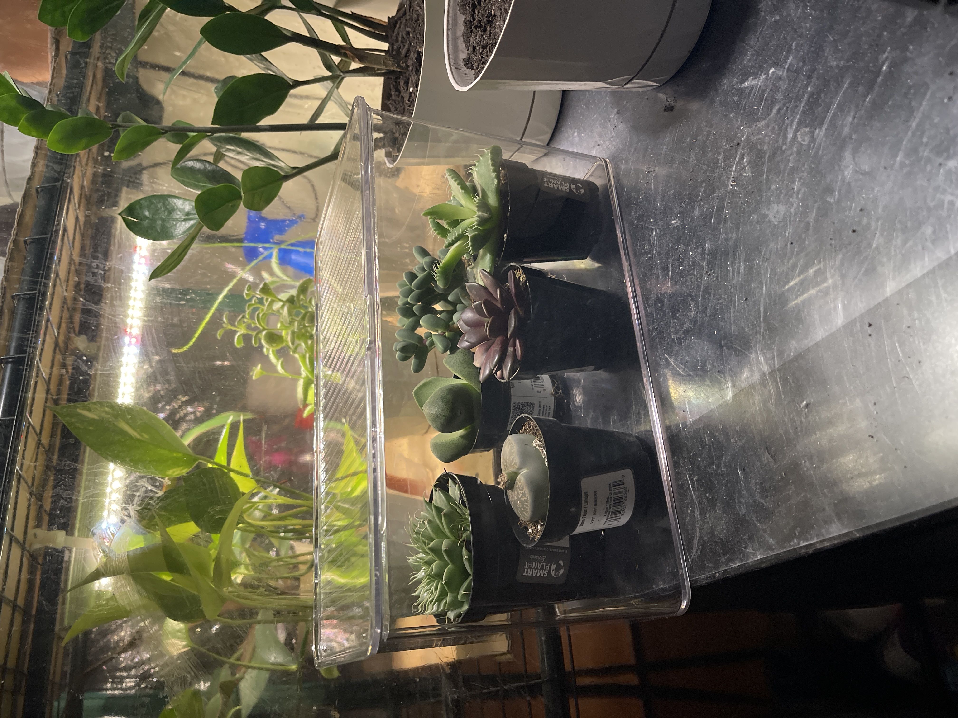 Photo from the post