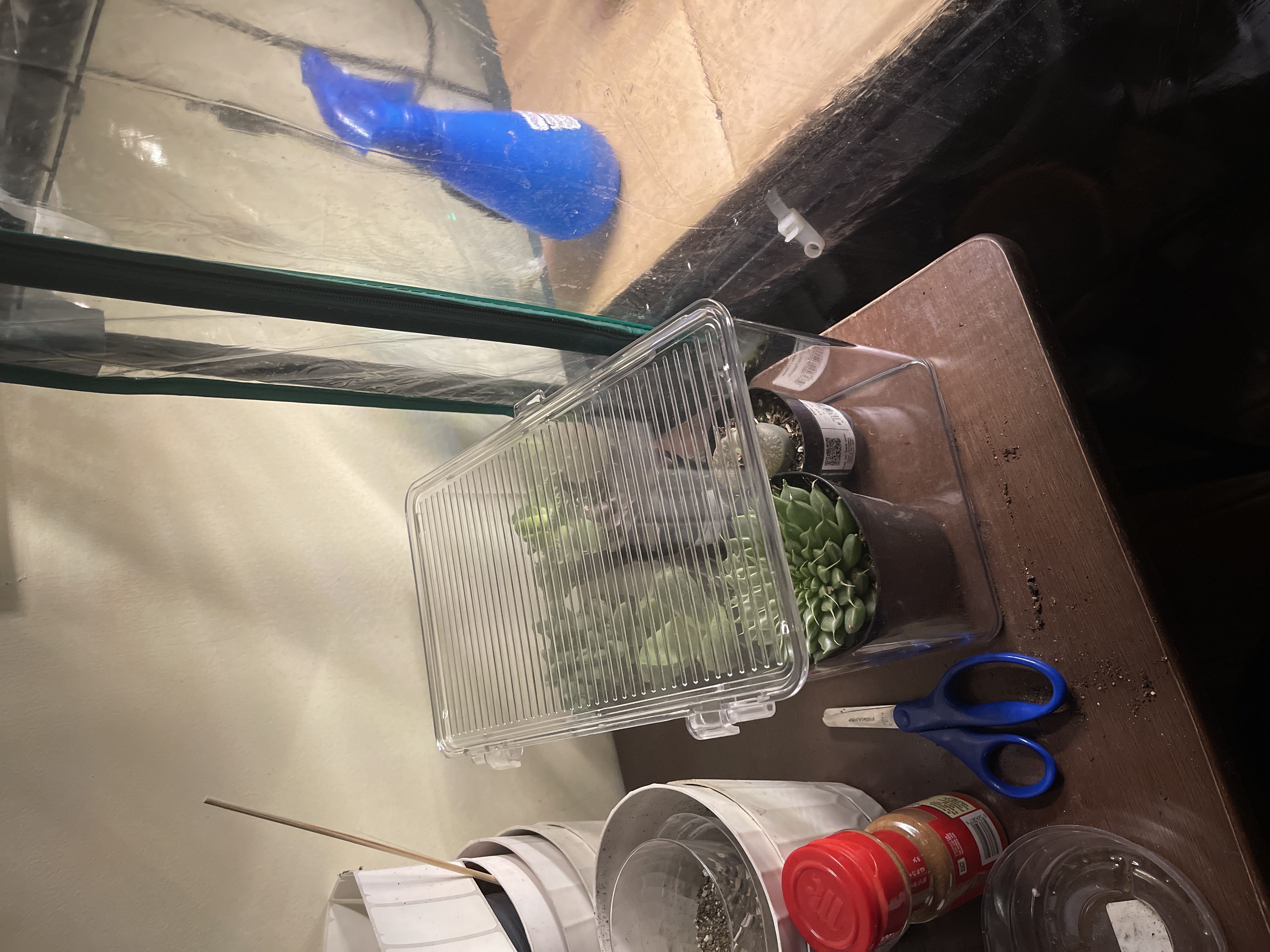 Photo from the post