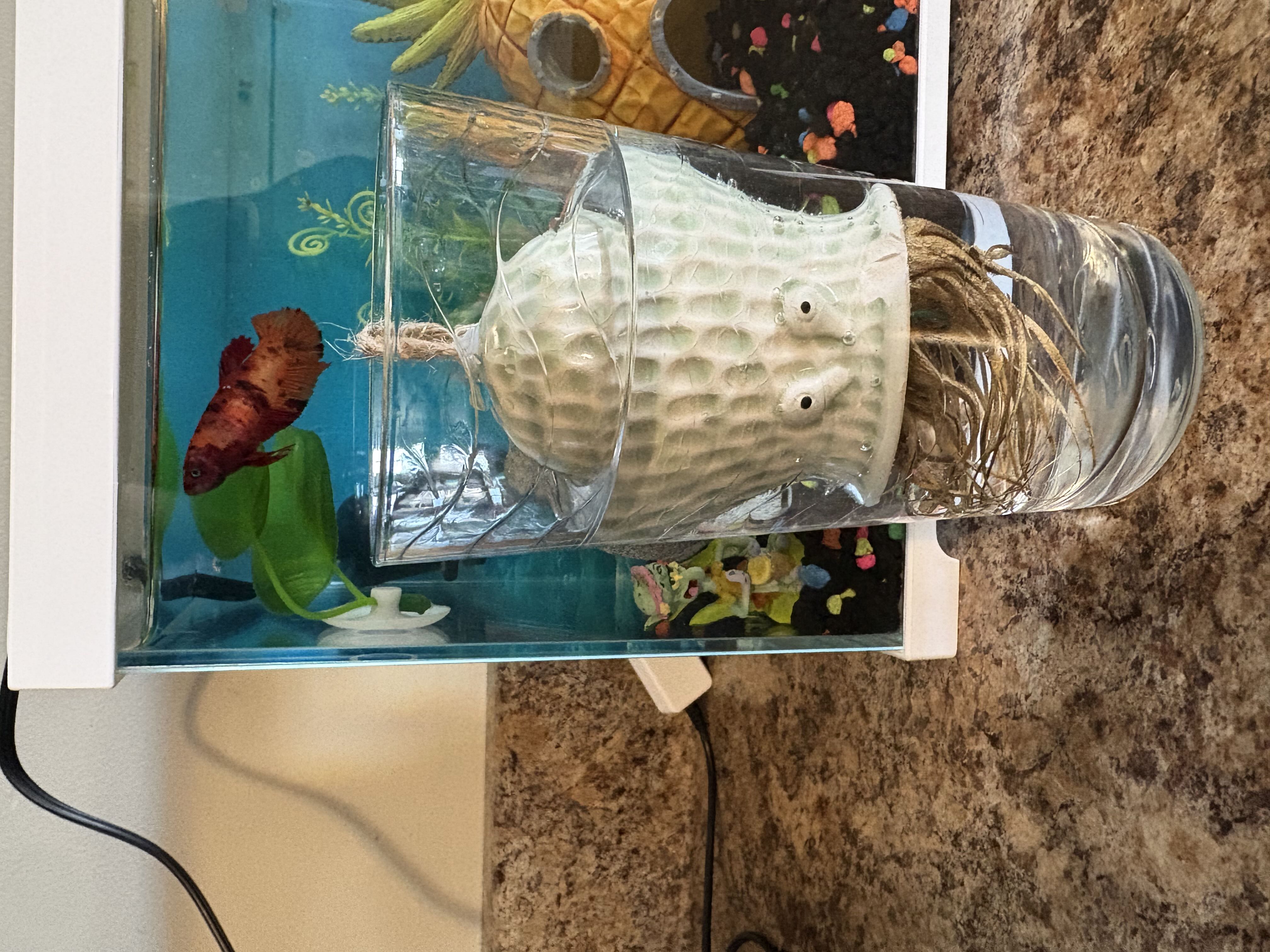 Photo from the post