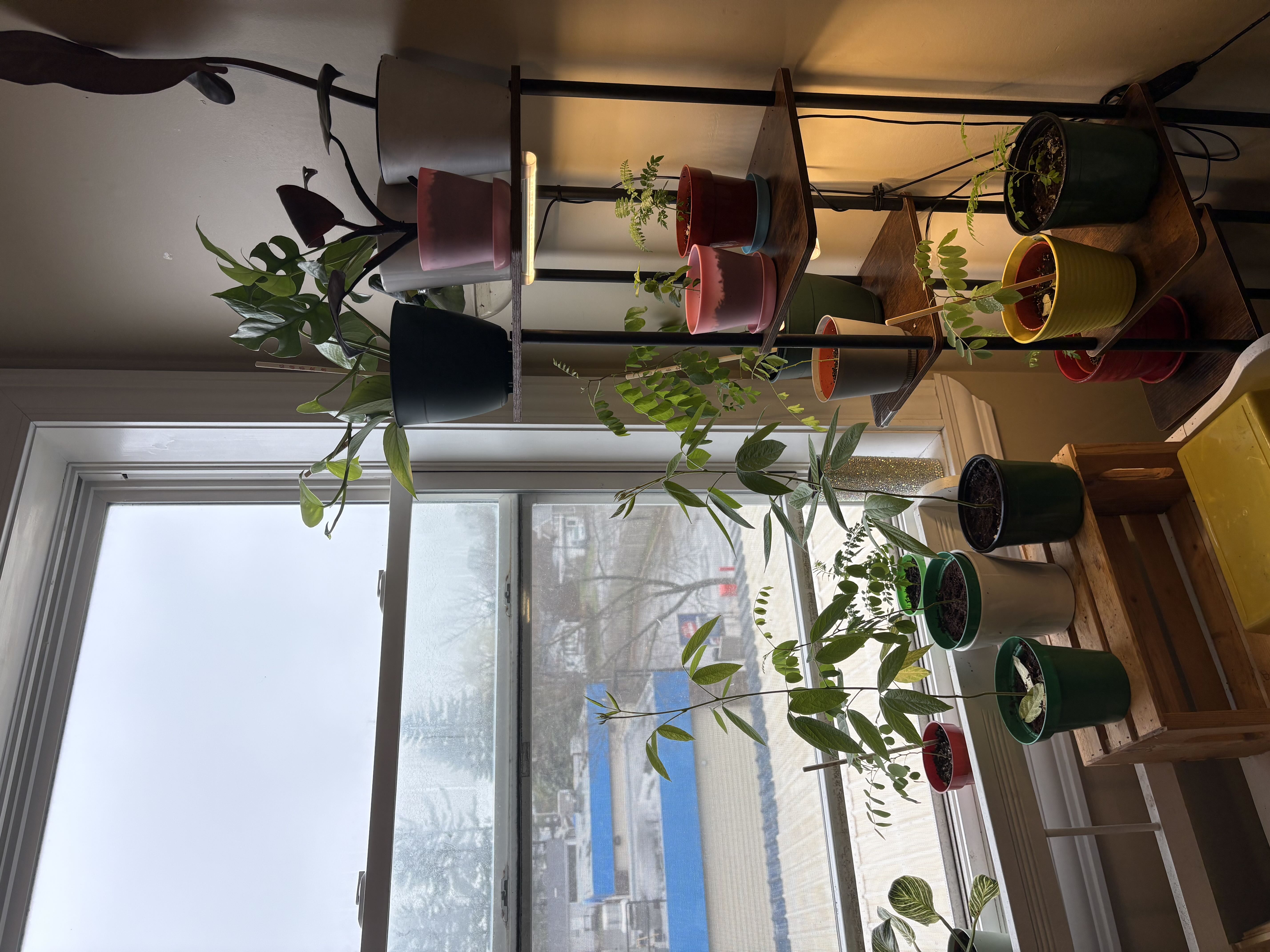 Photo from the post