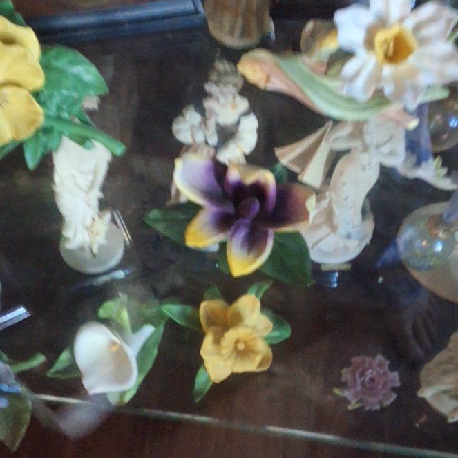 Photo of the plant species Bengal Clockvine by @FraternalGrass named Marilyn on Greg, the plant care app