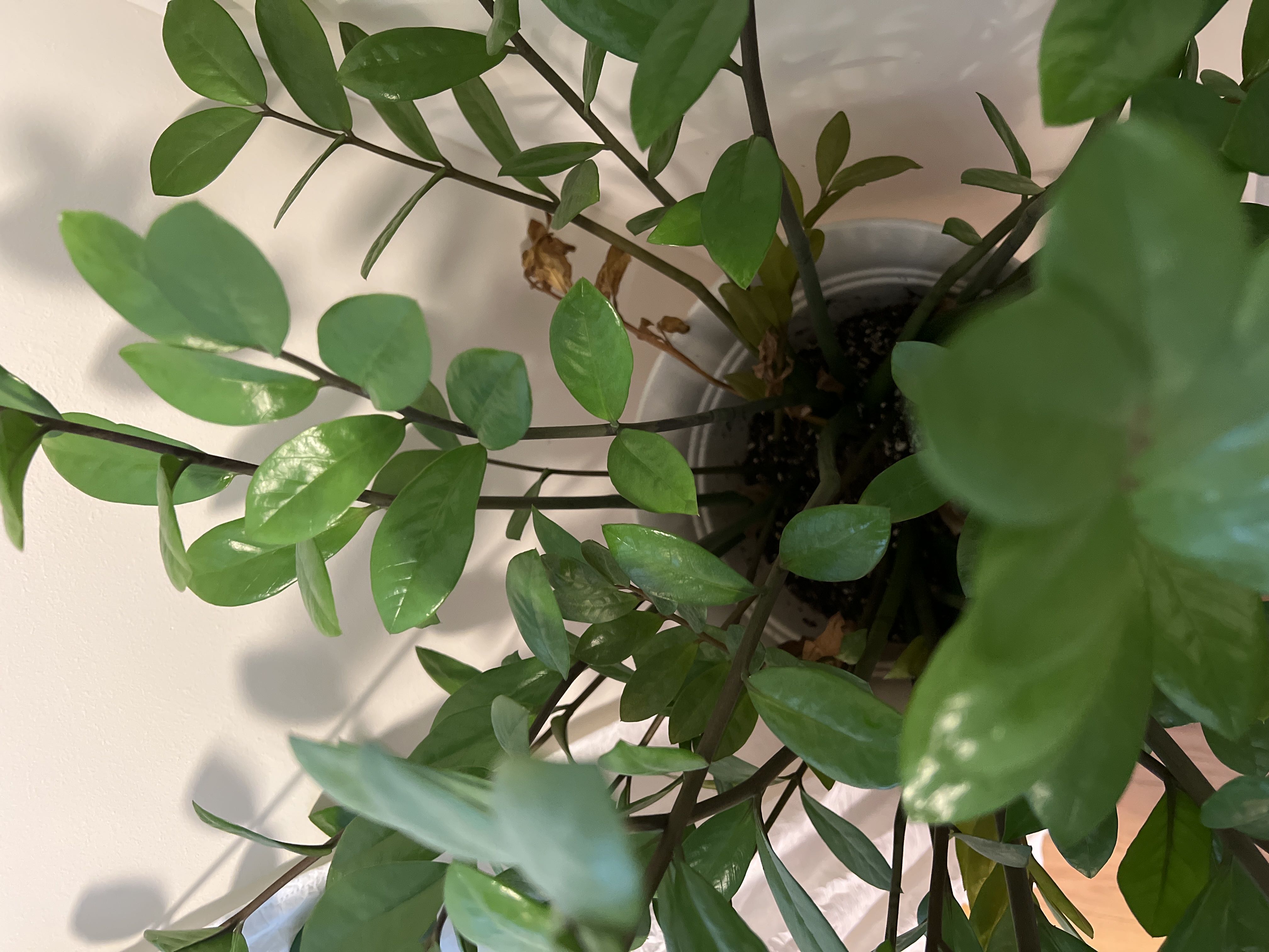 Photo from the post