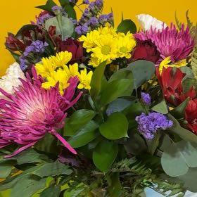 Photo of the plant species King Protea by @SpecialMelon30 named Xena on Greg, the plant care app
