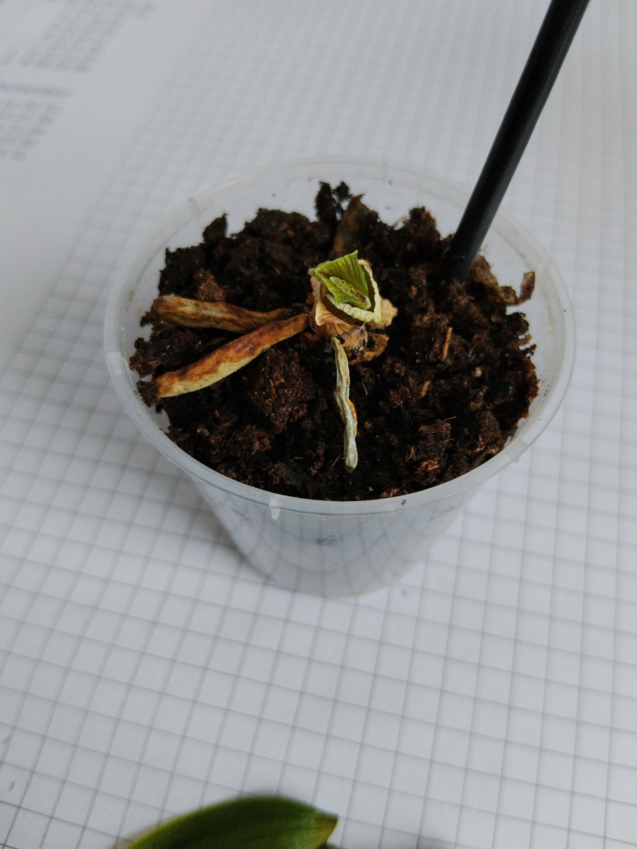 Photo from the post