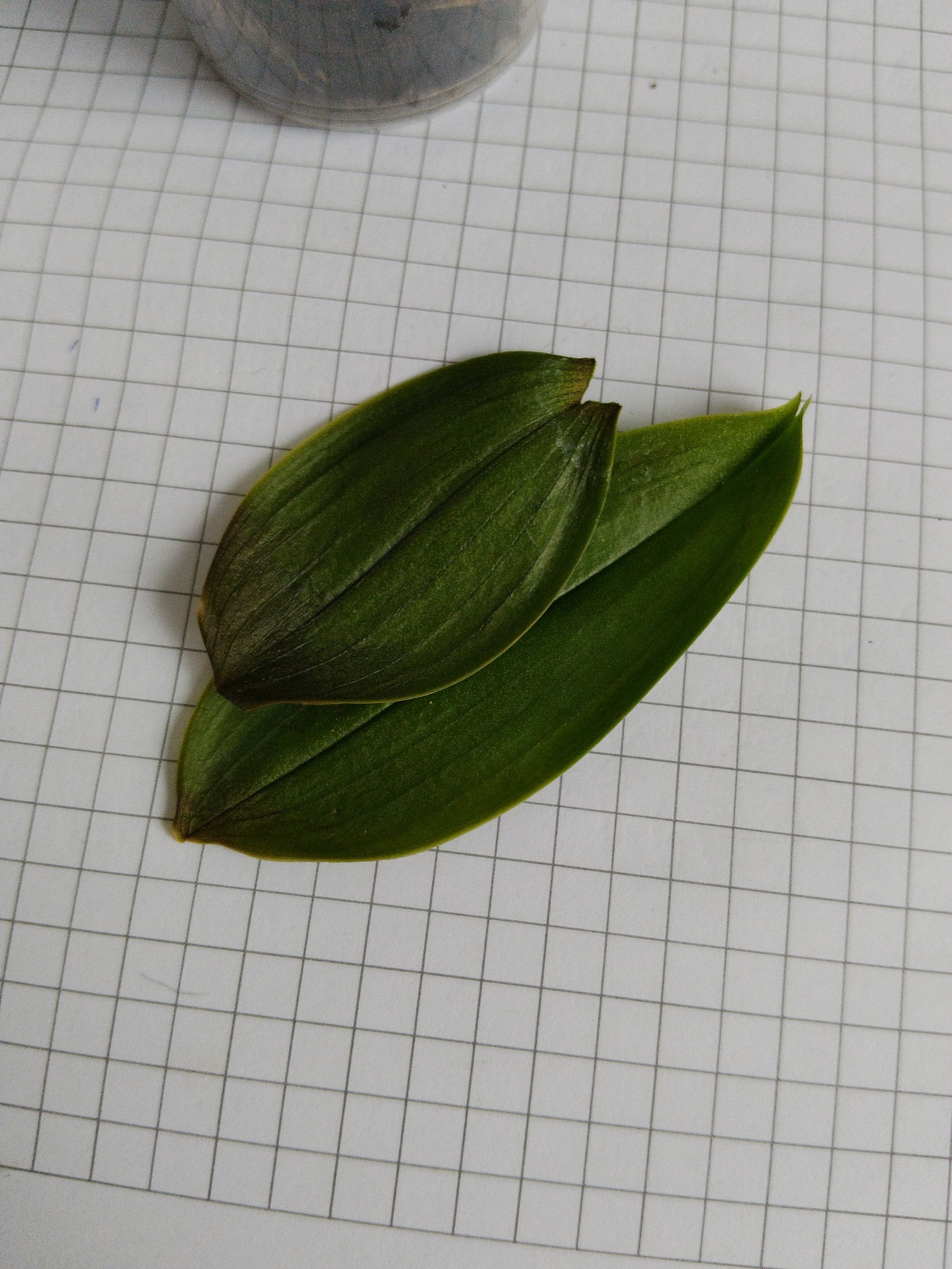 Photo from the post